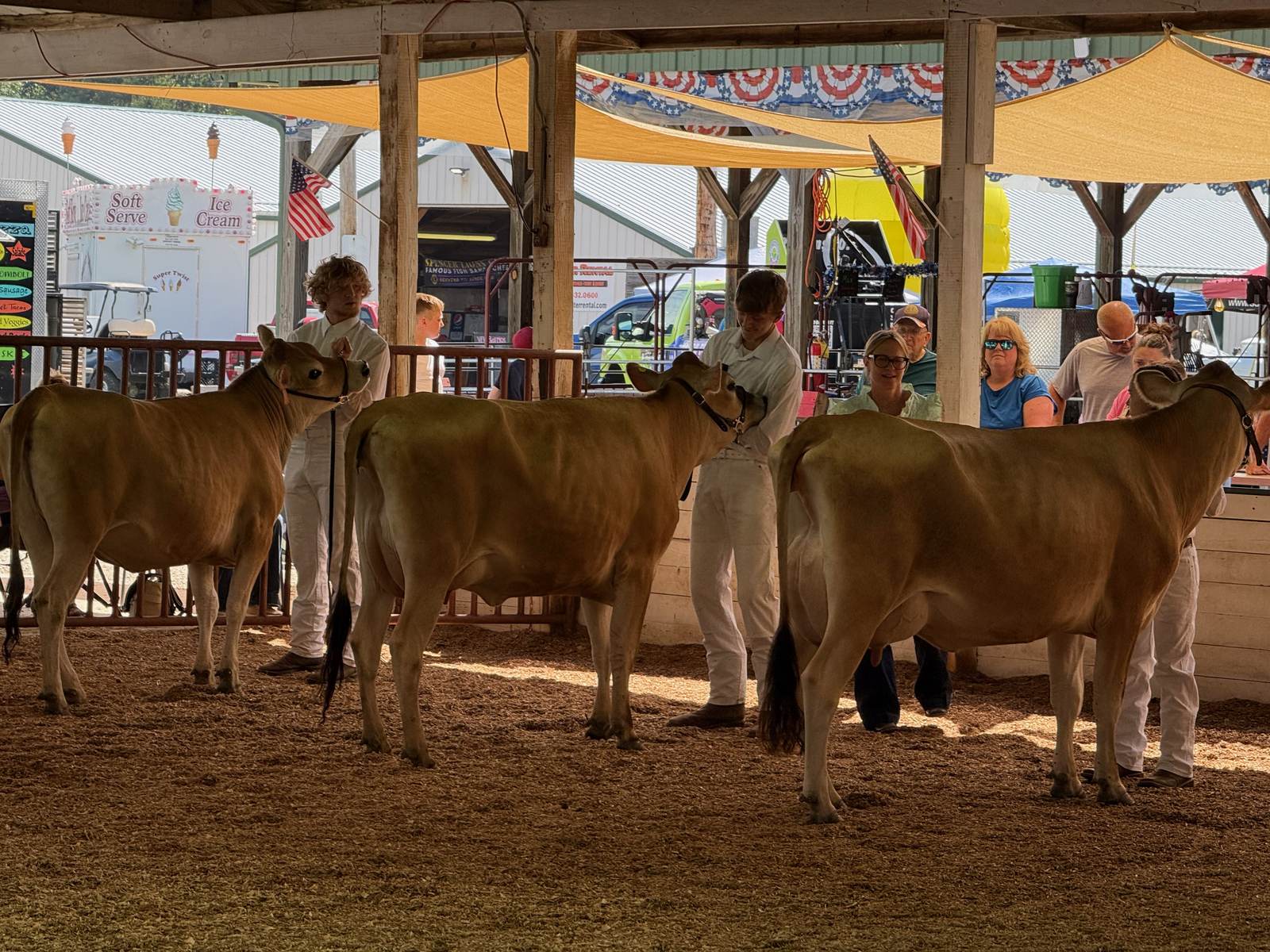 A moment in time captured in the covered show arena at the 2026 Owen County Fair. NICOLE DECRISCIO | THE OWEN NEWS