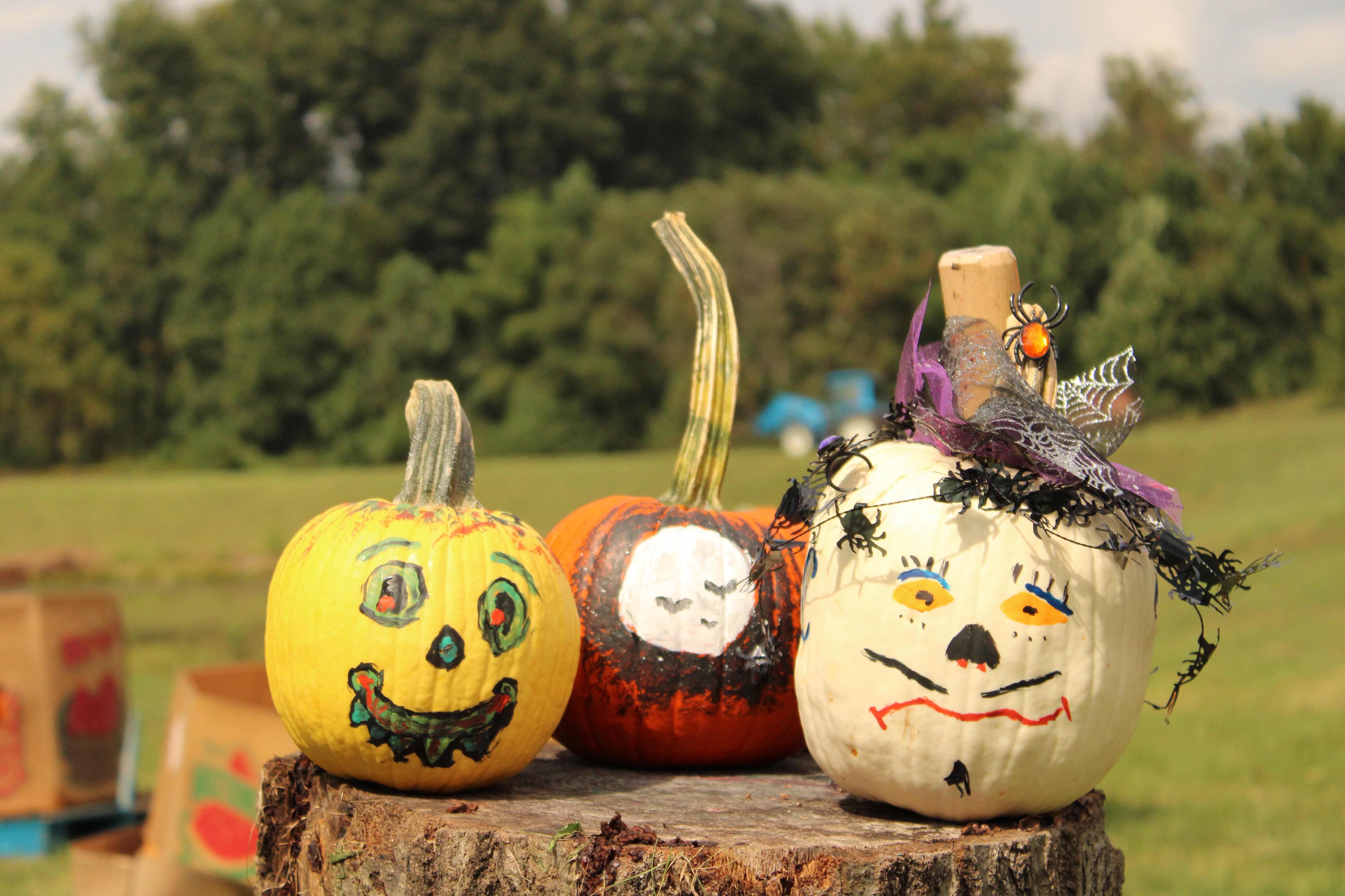 Painted pumpkins await their turn at the Pumpkin Smash. After purchasing and decorating their pumpkins, festivalgoers can place their creations on the stump before sending them to a smashing finale. STAFF PHOTO | THE OWEN NEWS