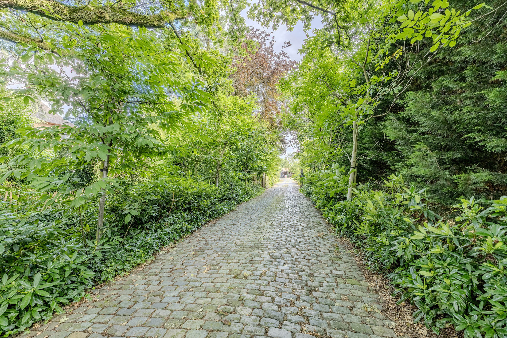 Woning op perceel van 7.028m²!