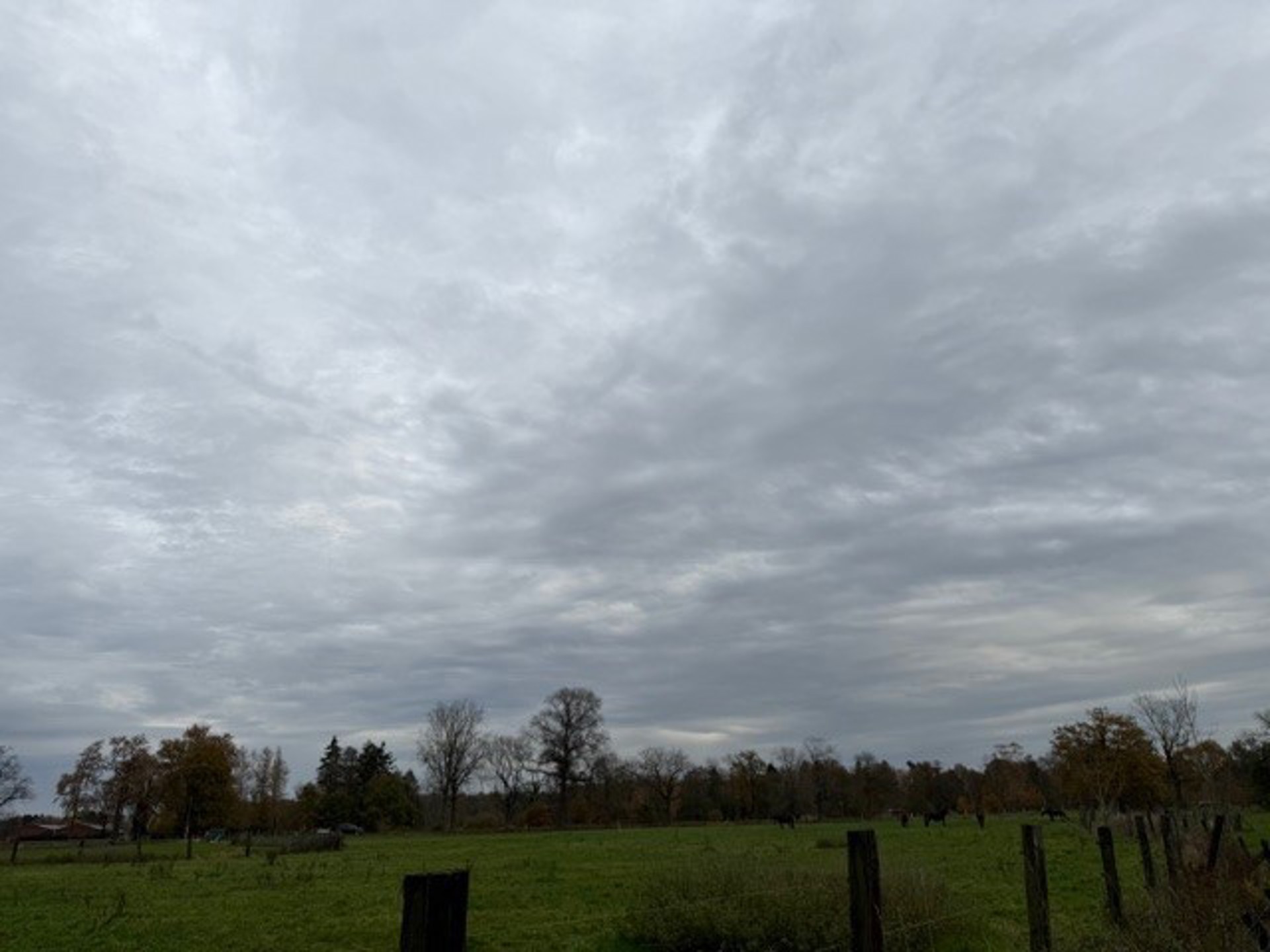 Landbouwgrond / Weide te koop – 22.359 m²!