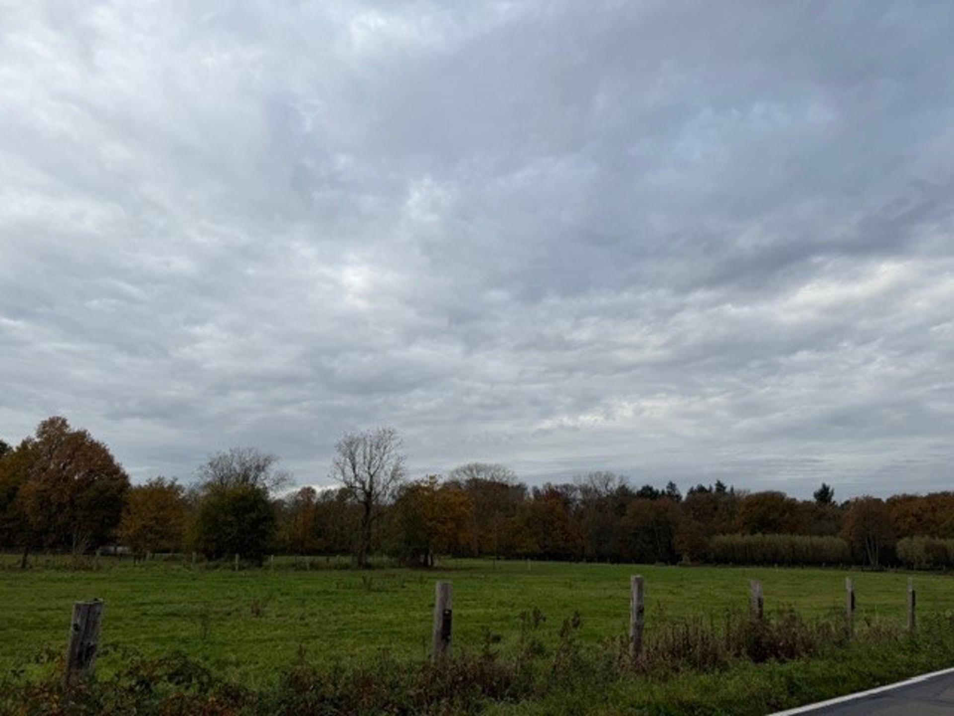 Landbouwgrond / Weide te koop – 22.359 m²!