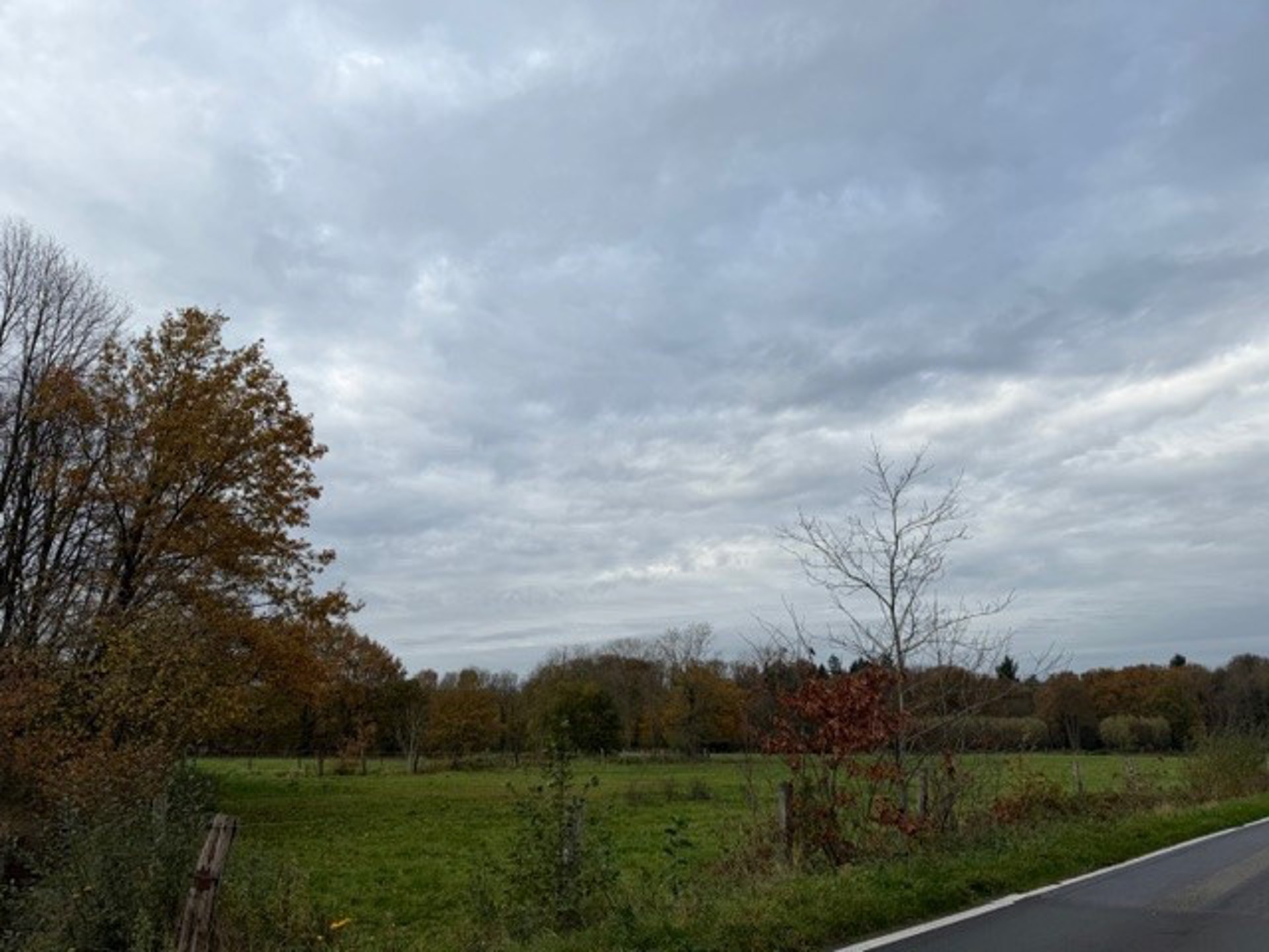 Landbouwgrond / Weide te koop – 22.359 m²!