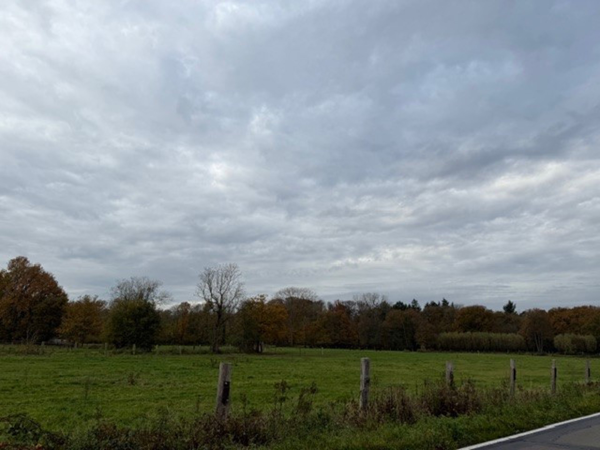 Landbouwgrond / Weide te koop – 22.359 m²!