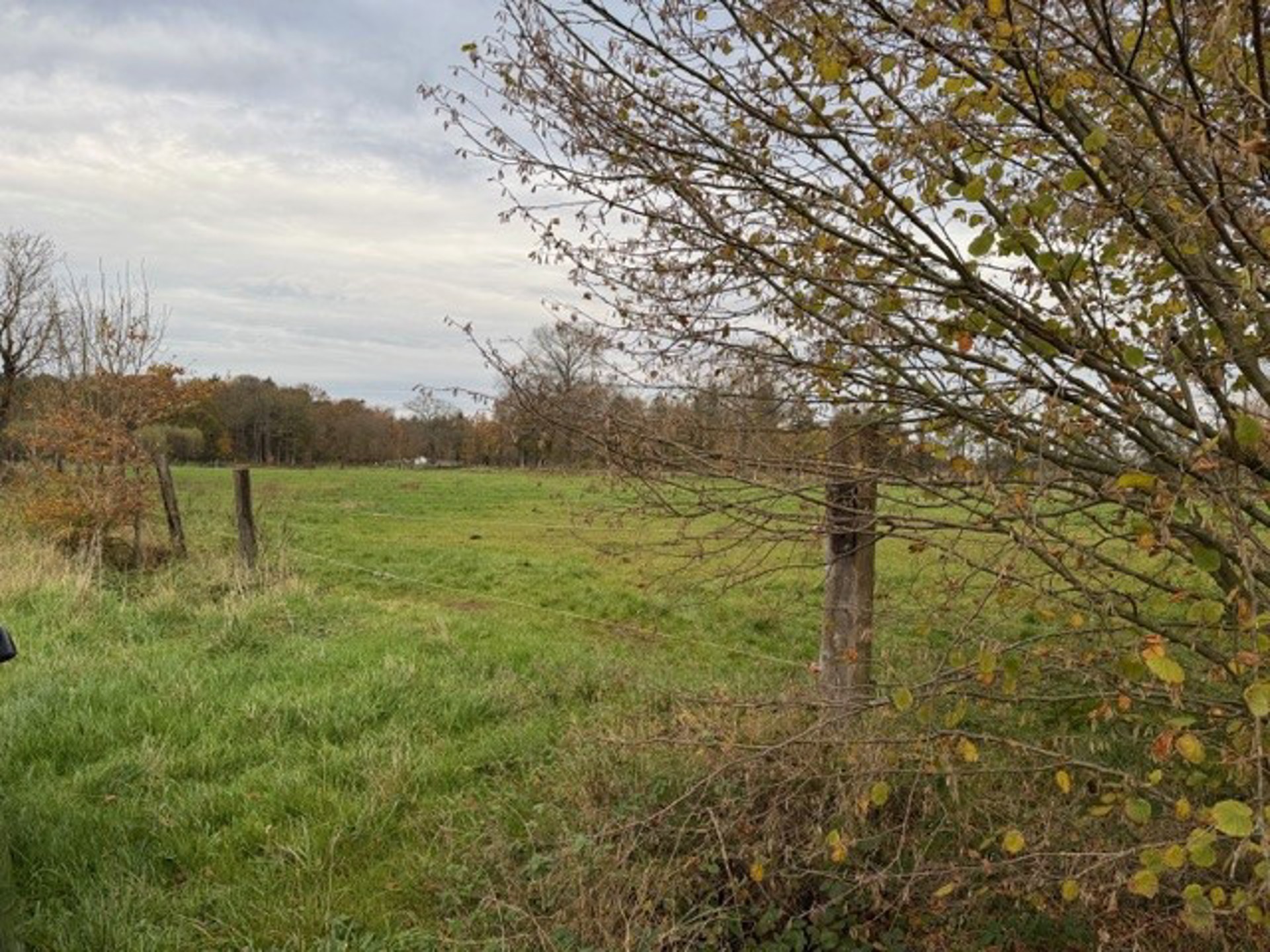 Landbouwgrond / Weide te koop – 22.359 m²!