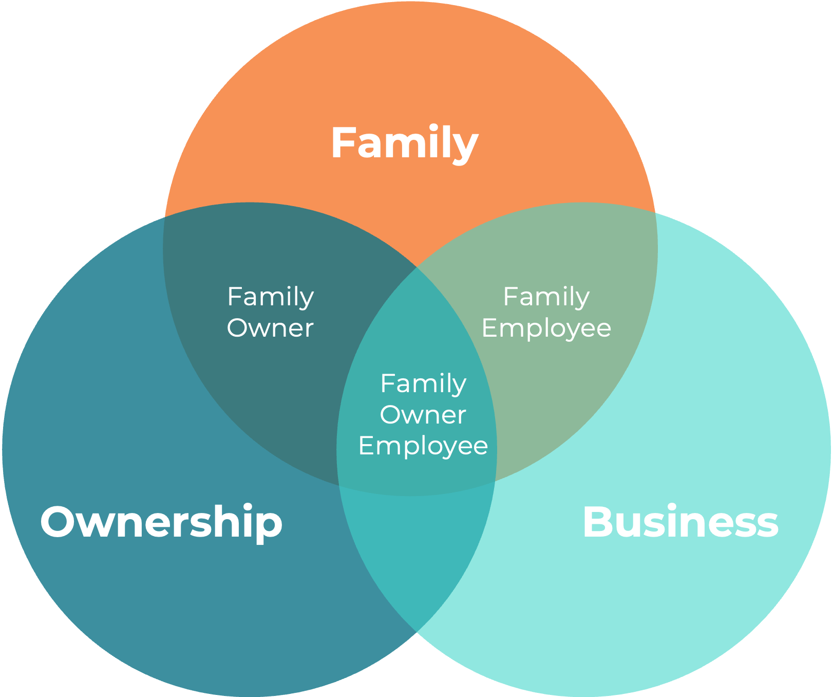 Three Circle Model diagram showing Family, Ownership, and Business