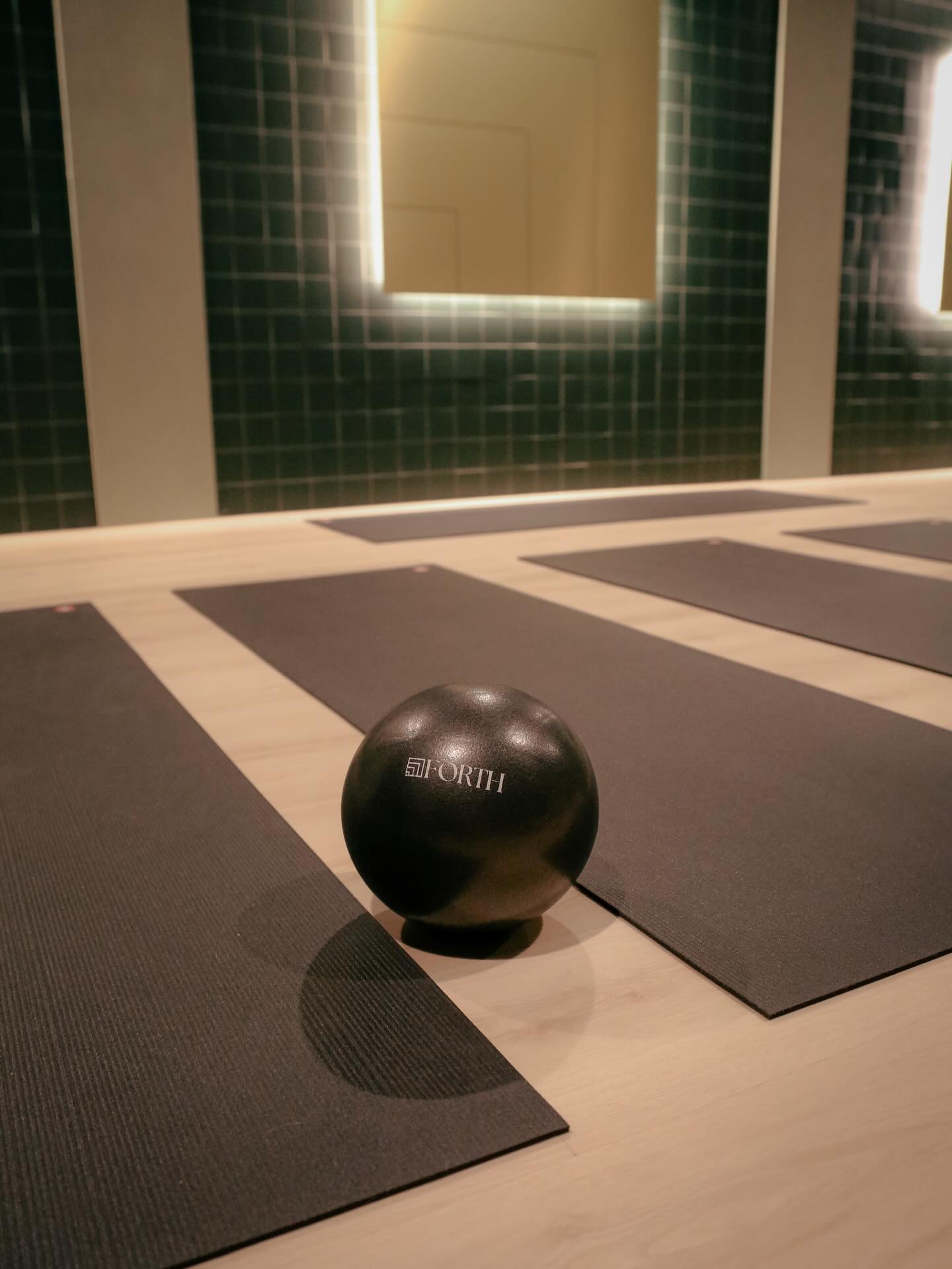 close up yoga ball of Forth Yoga Studio in Chicago, IL