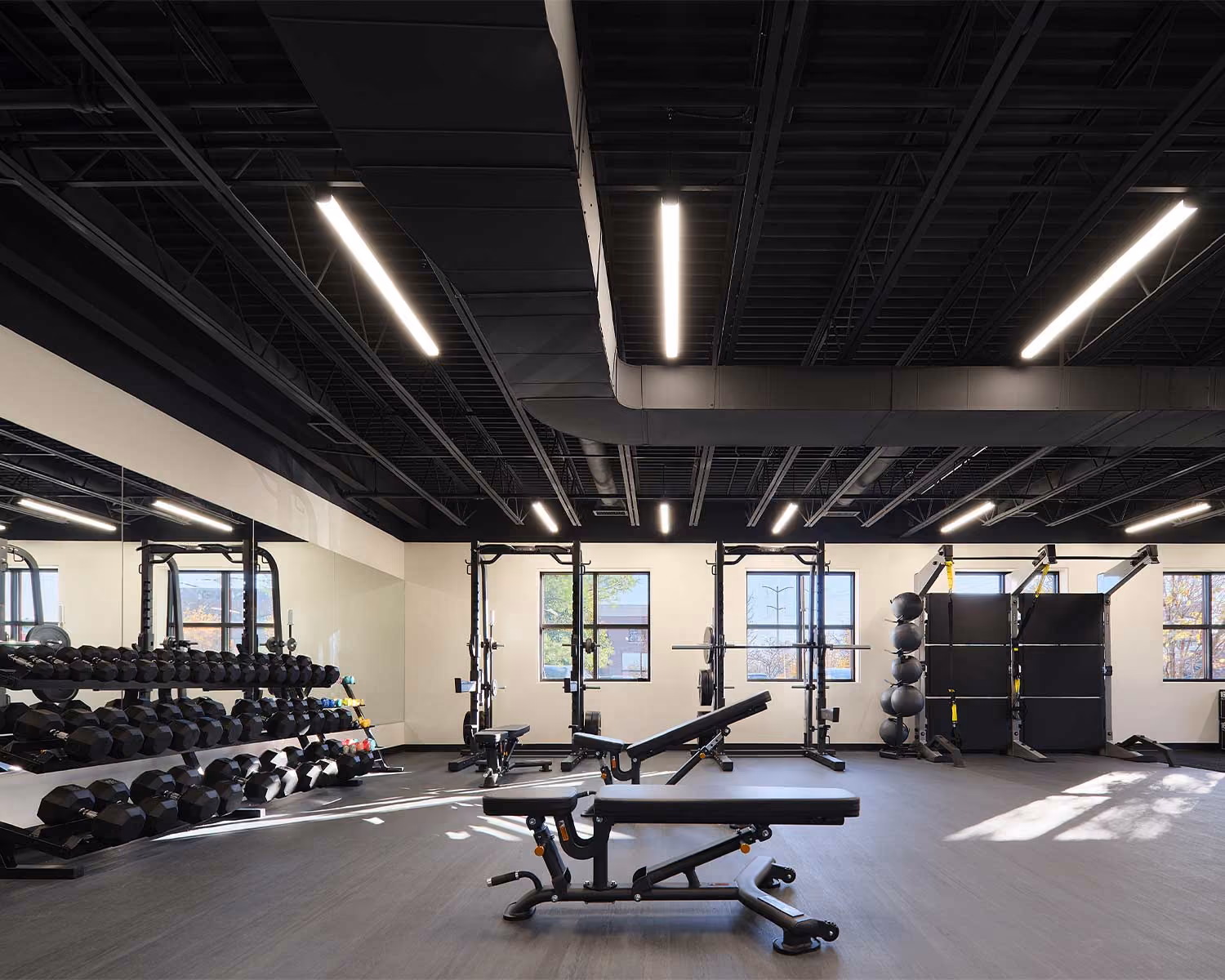 Elite Wellness gym with weight racks, benches and linear ceiling lights