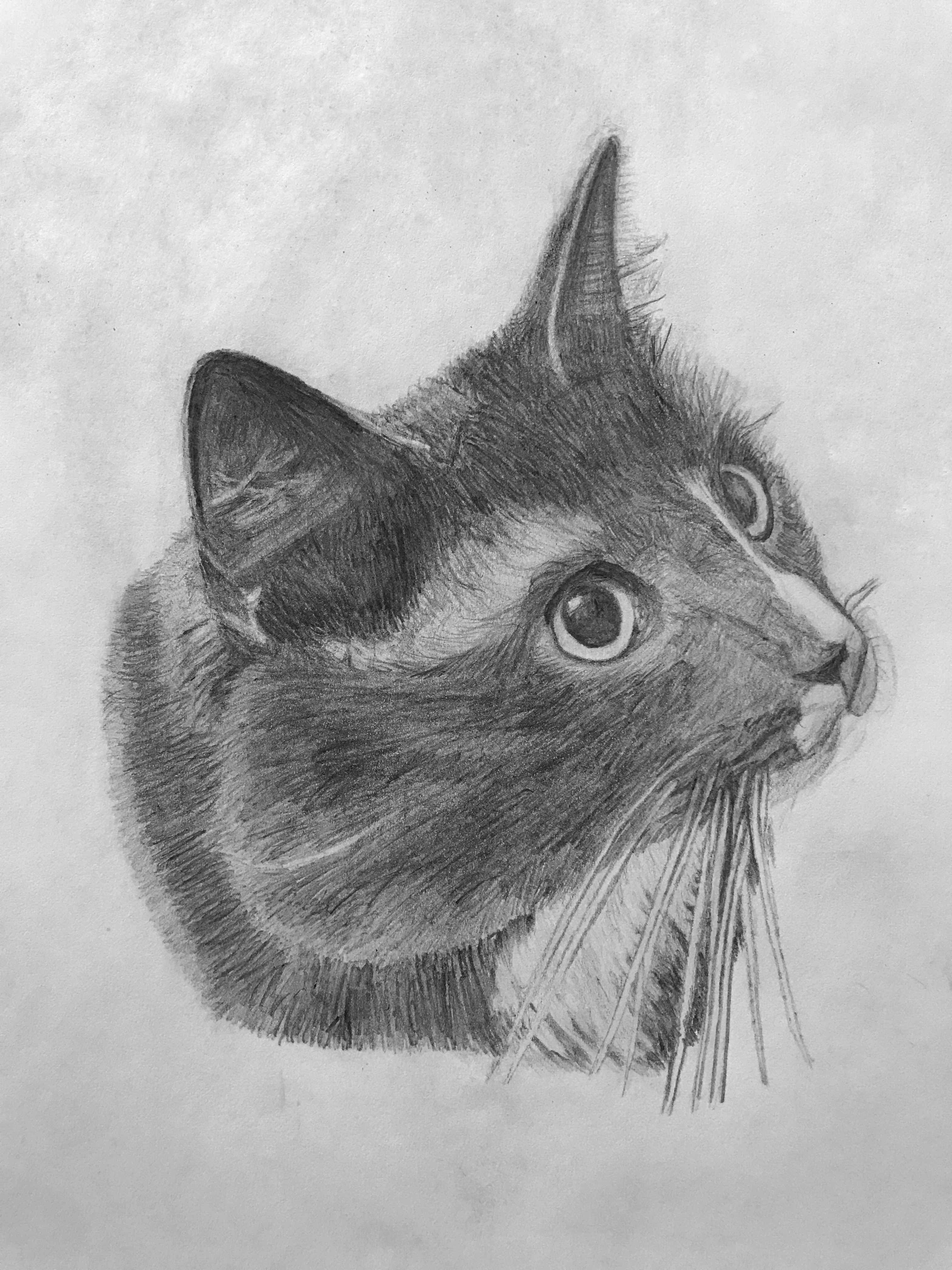Teishka, Jun. 2019 (6.5" x 10")