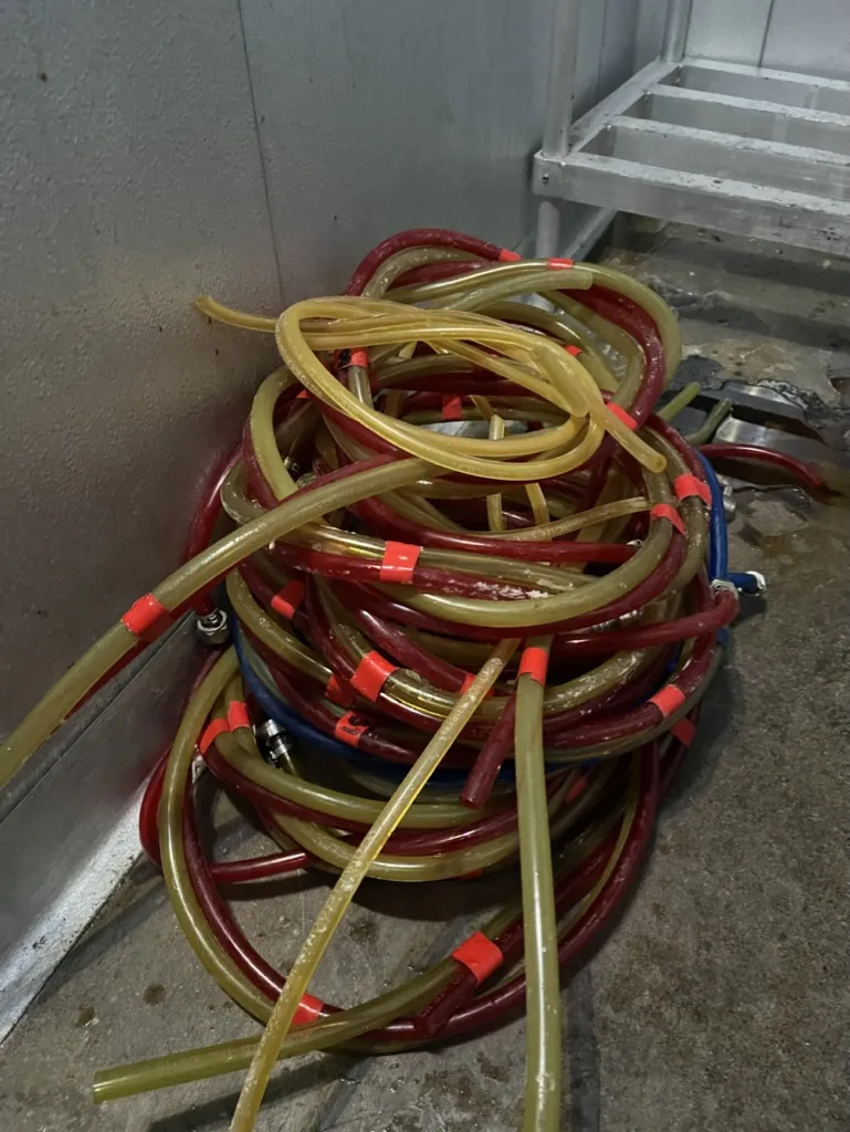 When your beer vinyl lines look like this it's time to replace them.Typically every 18 months