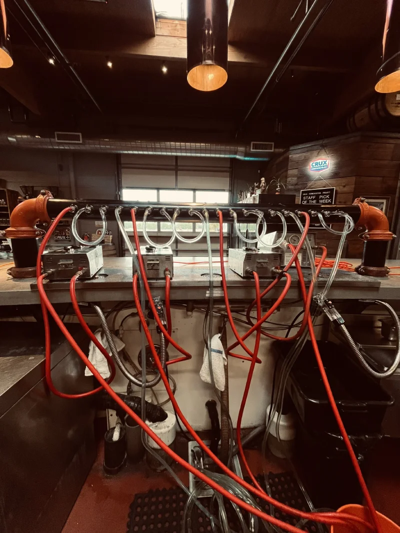 Beer line Cleaning with Recirculating Pumps