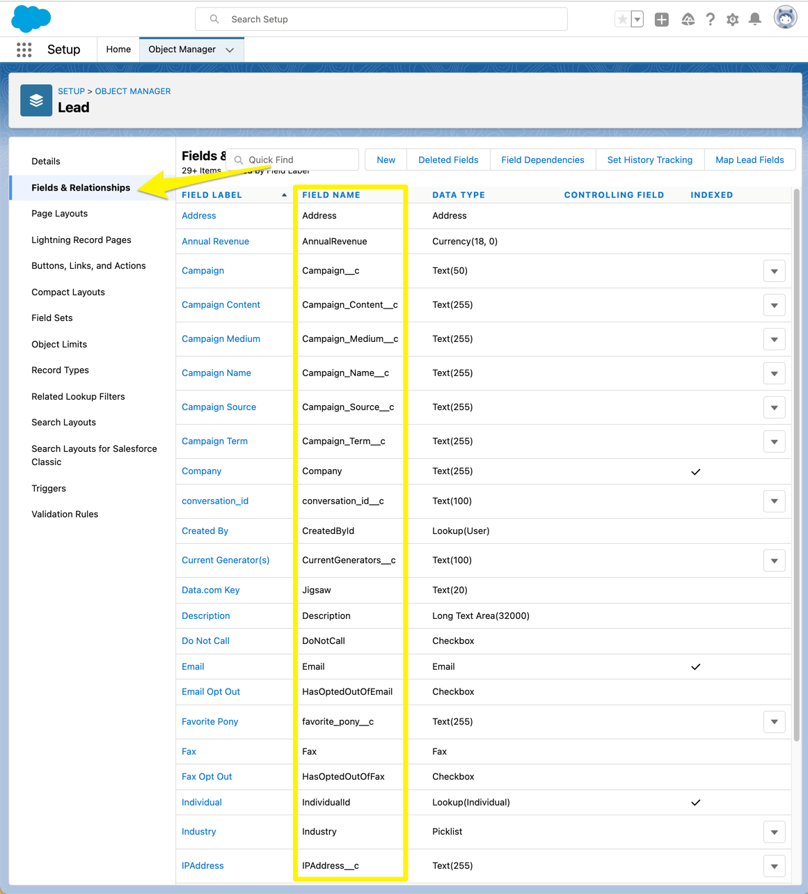 Salesforce API Field Names