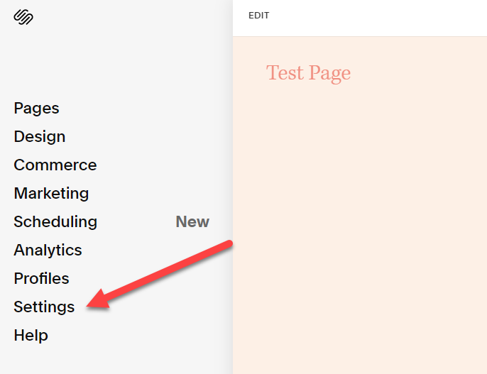 Squarespace Screenshot -- Settings Option