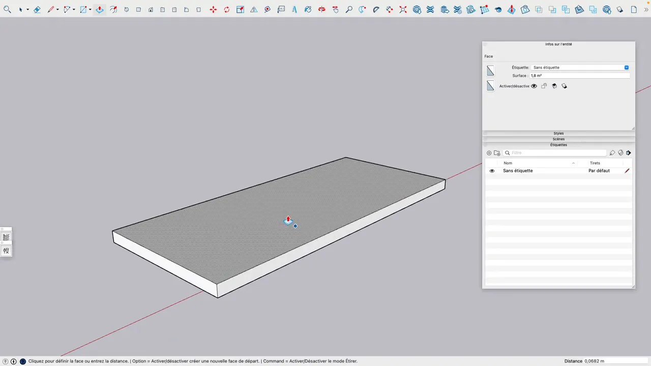 Panneau de porte extrudé d'environ 6 cm d'épaisseur dans SketchUp, vue en perspective