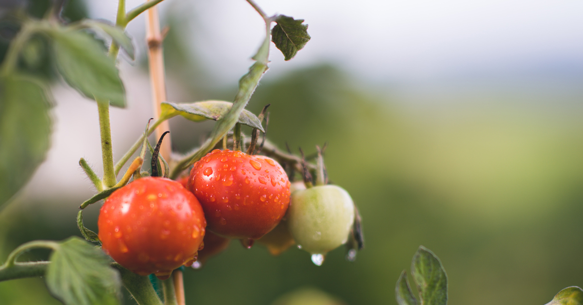 New legislation to boost organics