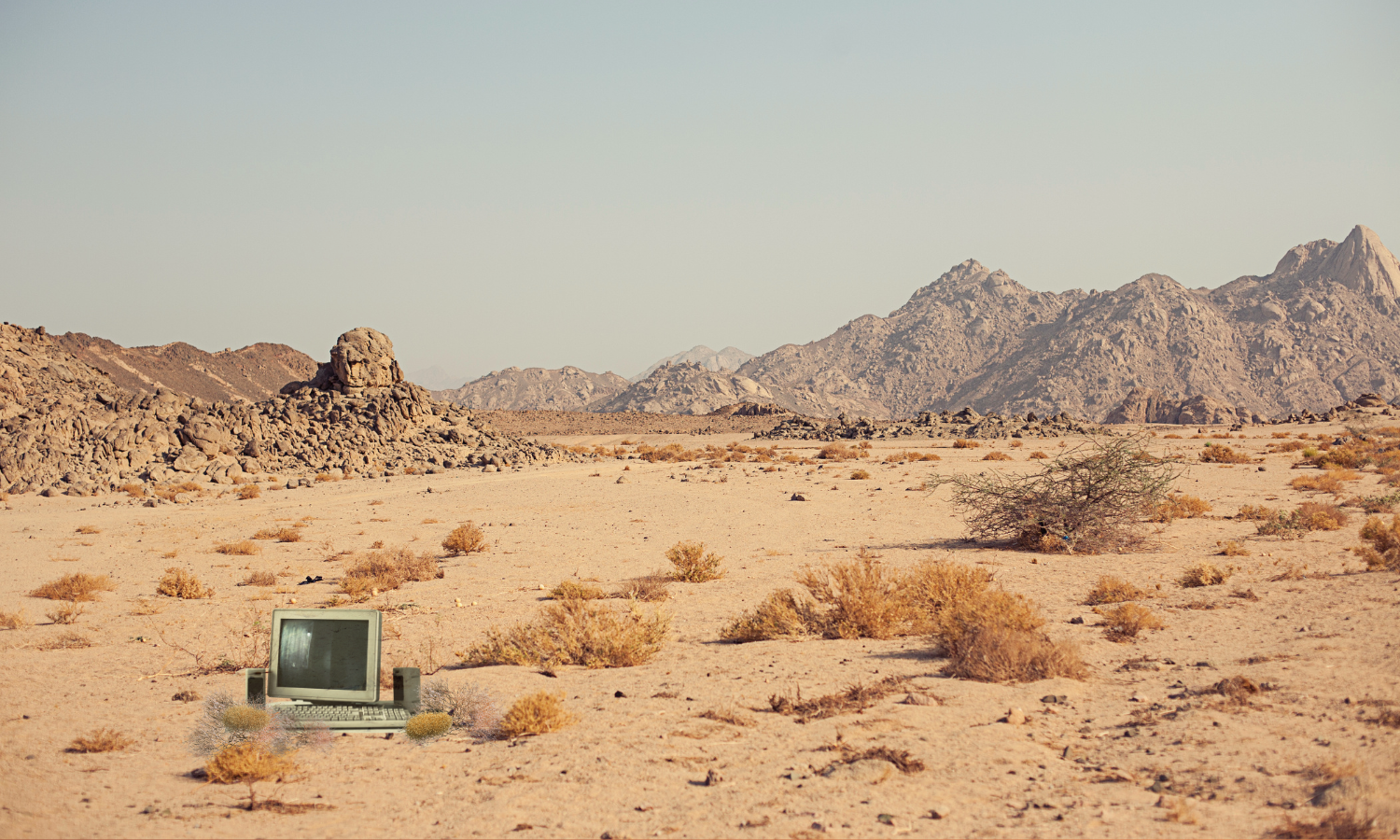 When your "perfect" business system sits gathering digital dust