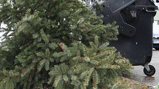 Svoz vánočních stromků 12.1.2026