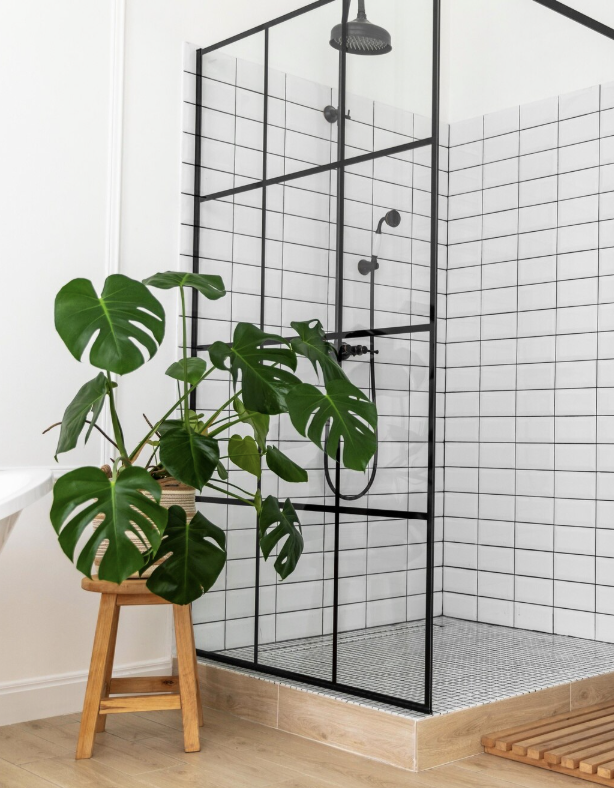 Moderne badkamer met glazen douche en een grote groene plant op een houten kruk.
