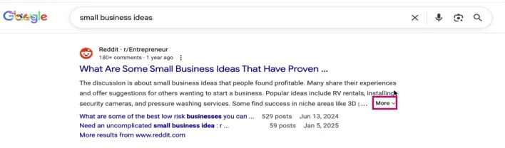 Google search result for "small business ideas" query, showing new "more" option for meta description