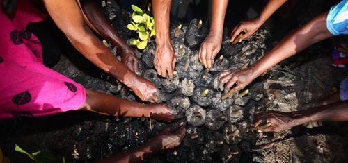 community working together