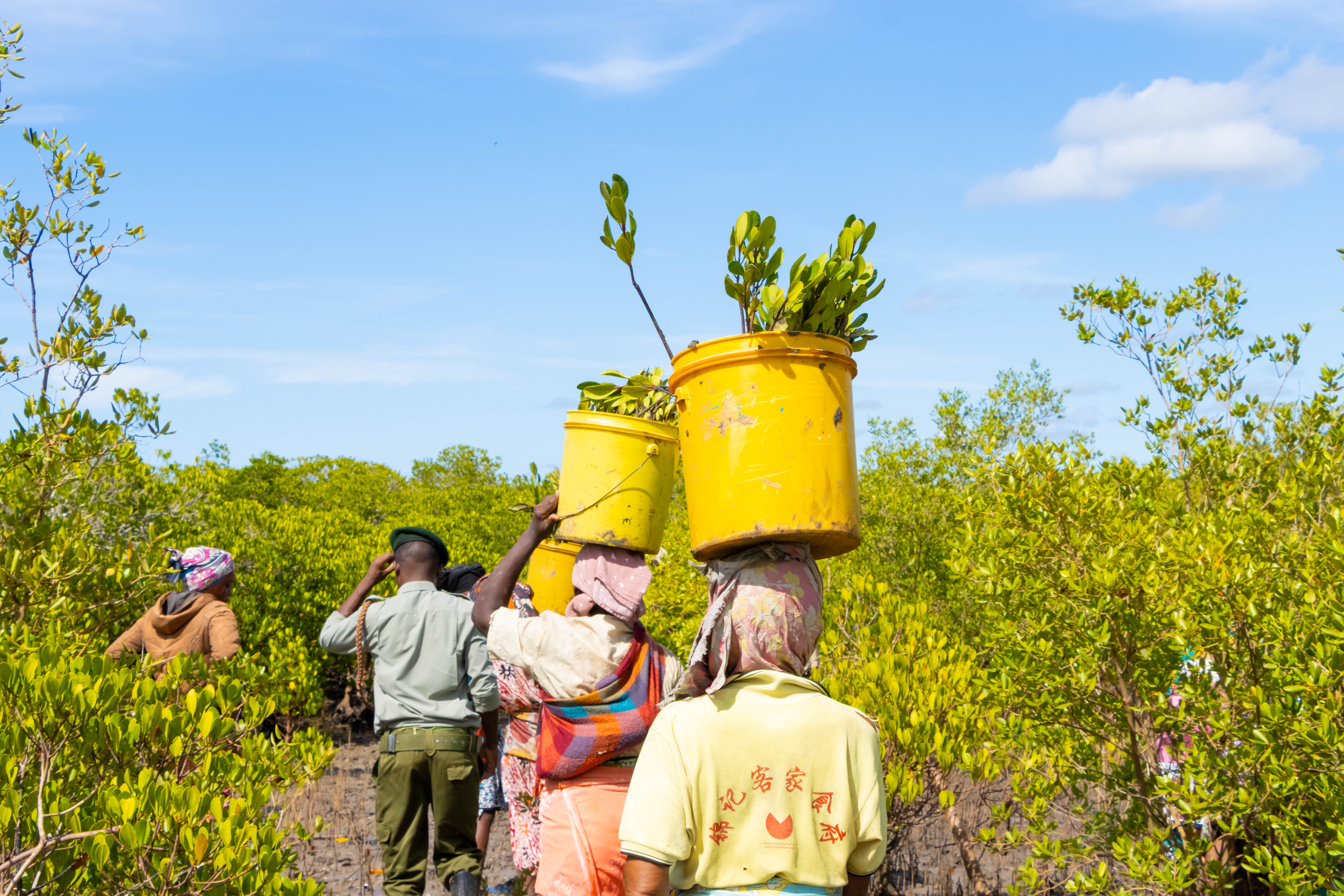 woman gathering octopus from ocean