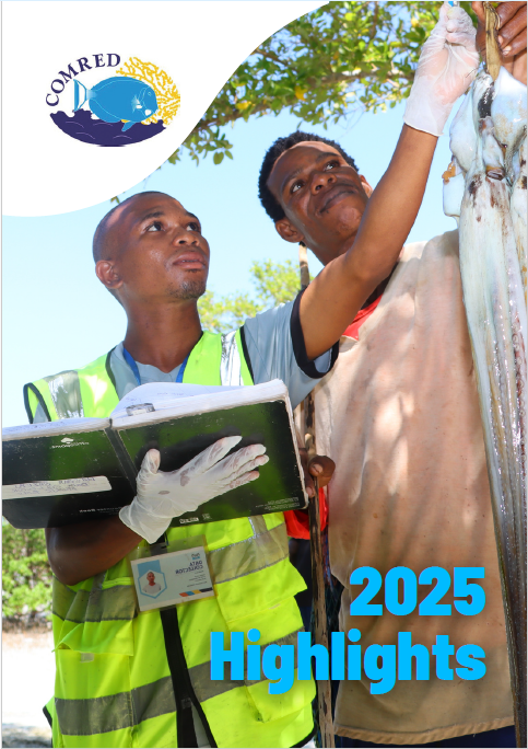 2023 annual report document preview image