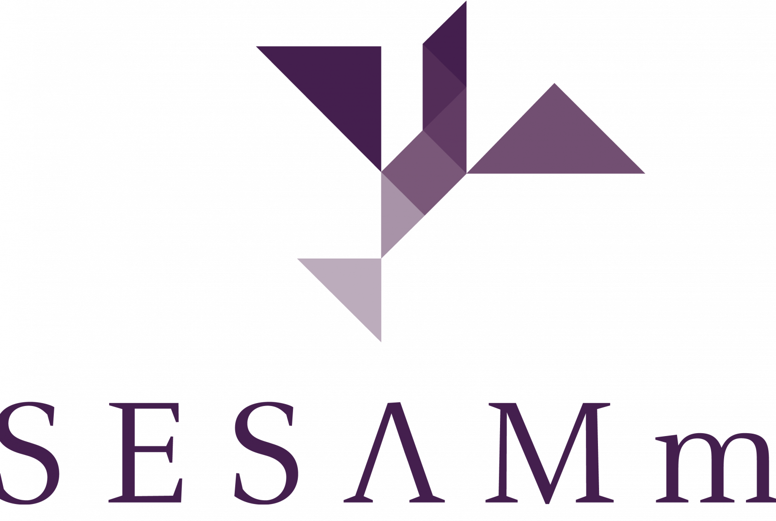 Sesamm