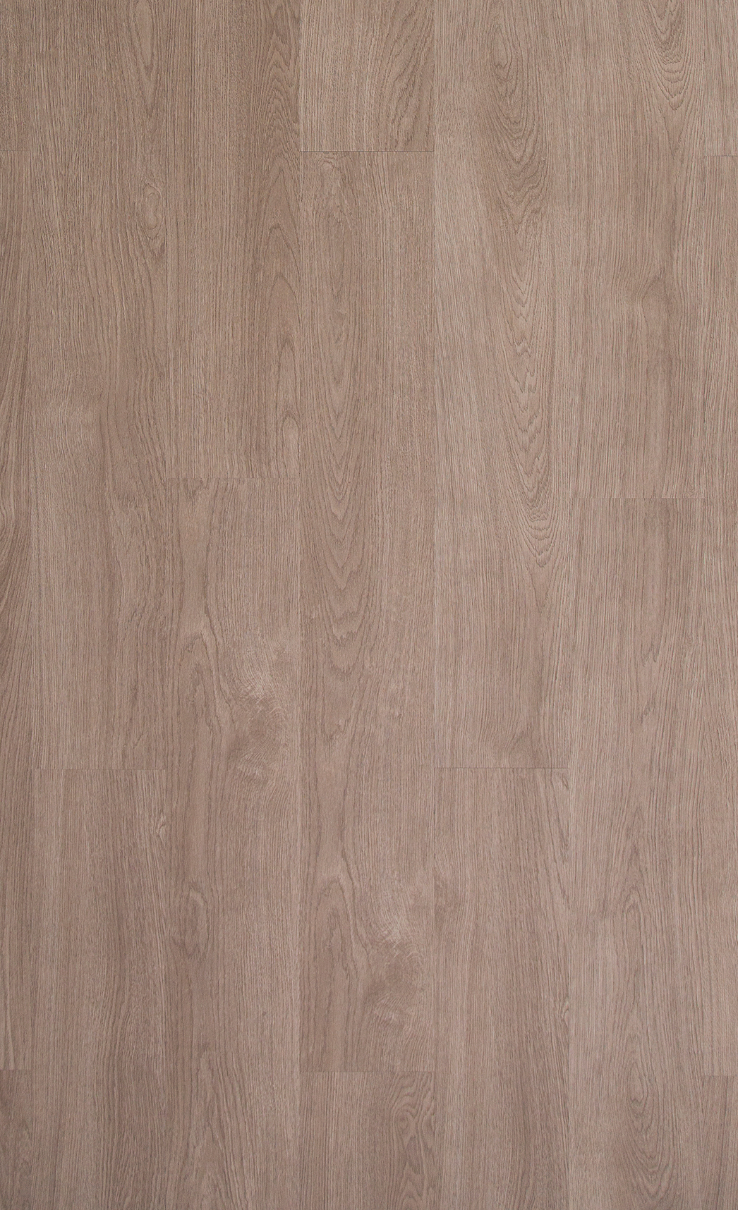 North Shore - 12 mil