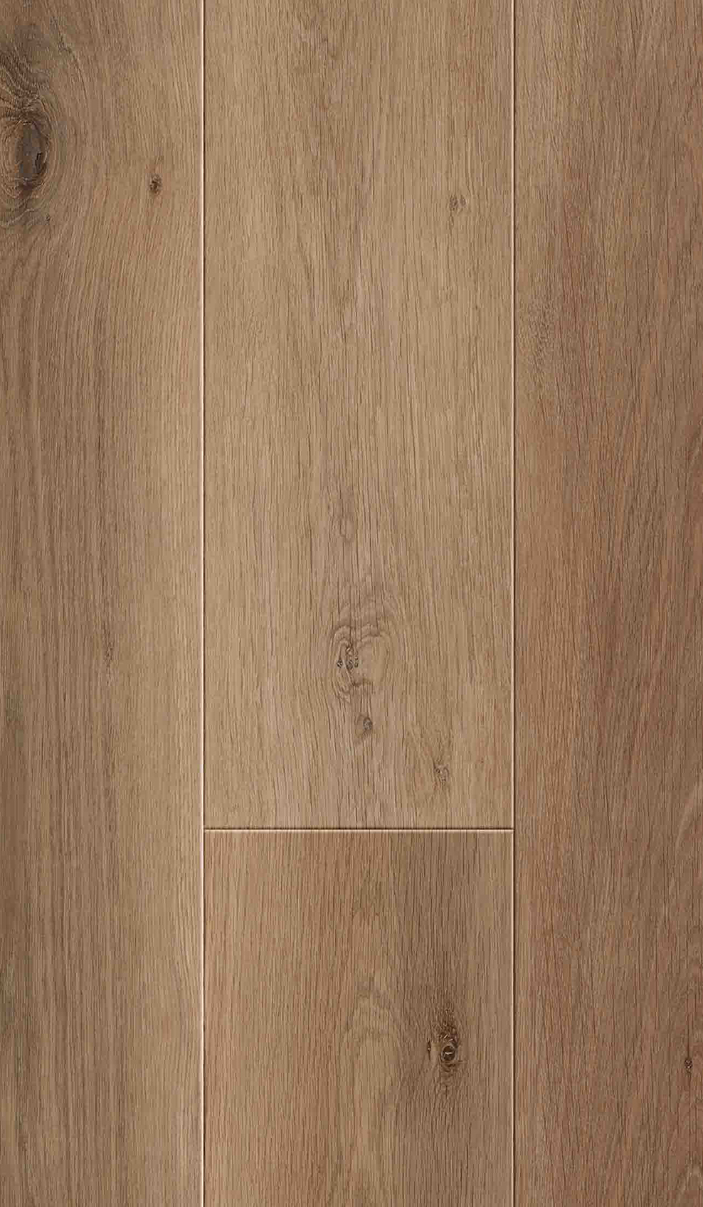 Harvest Moon GD 22mil