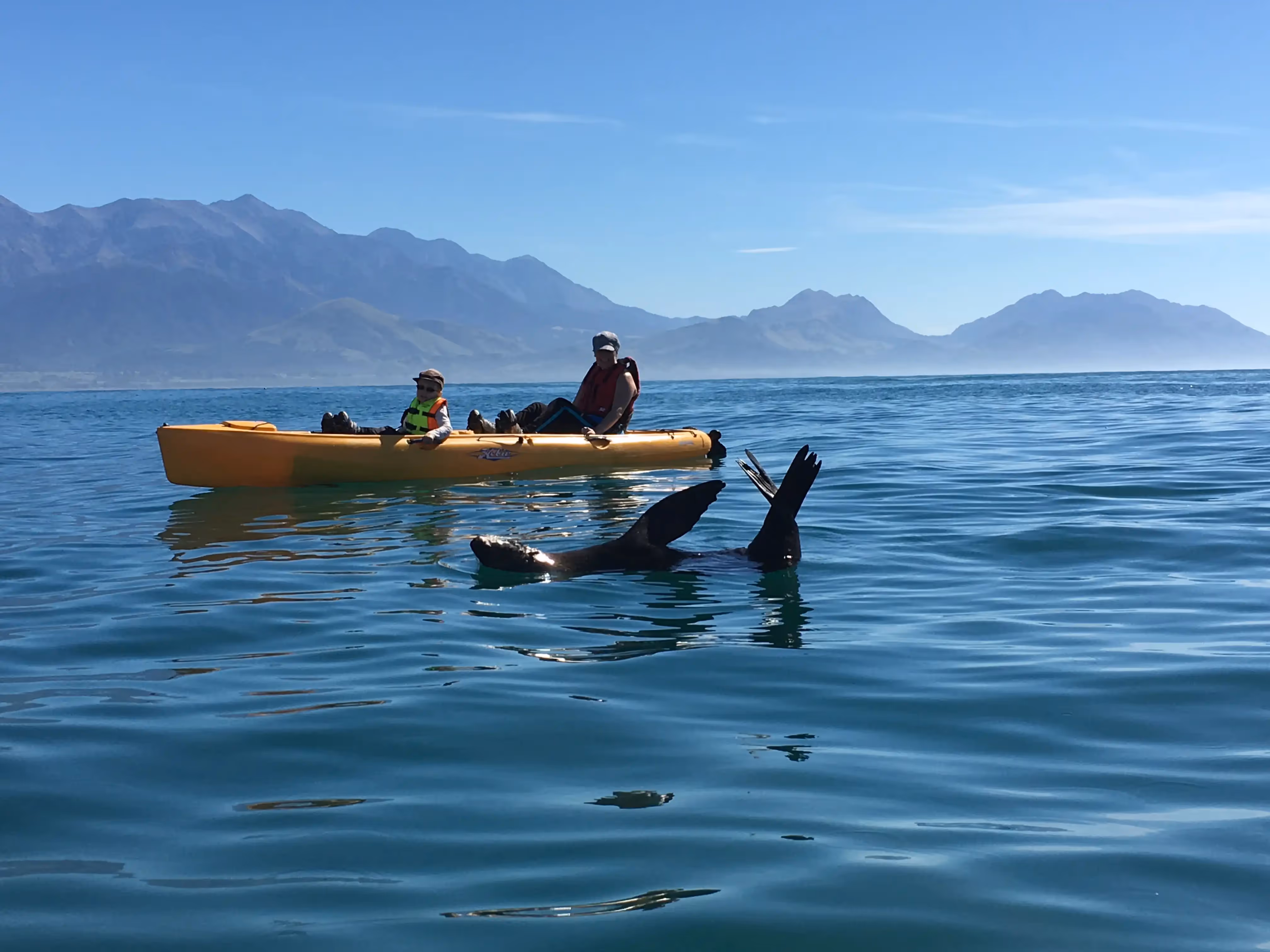 Kayaks on the water
