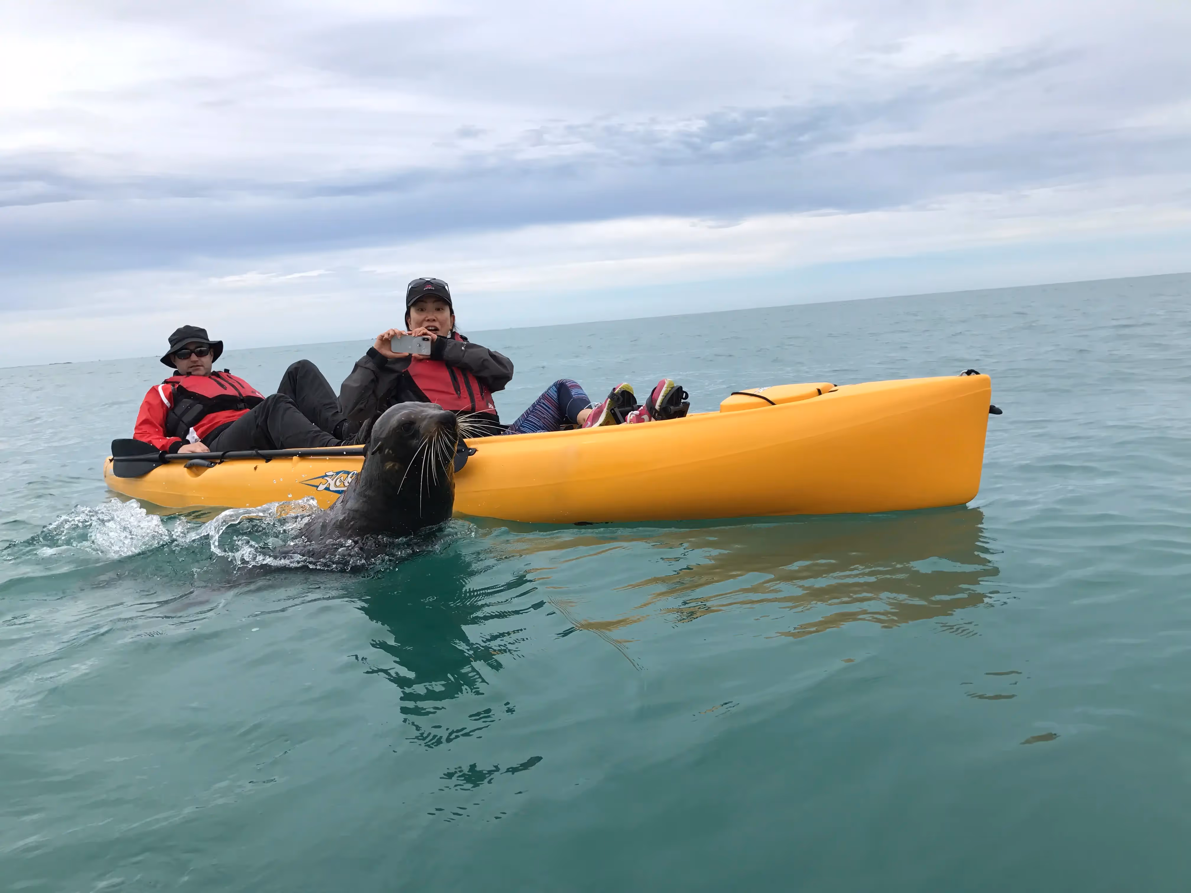 Kayaks on the water