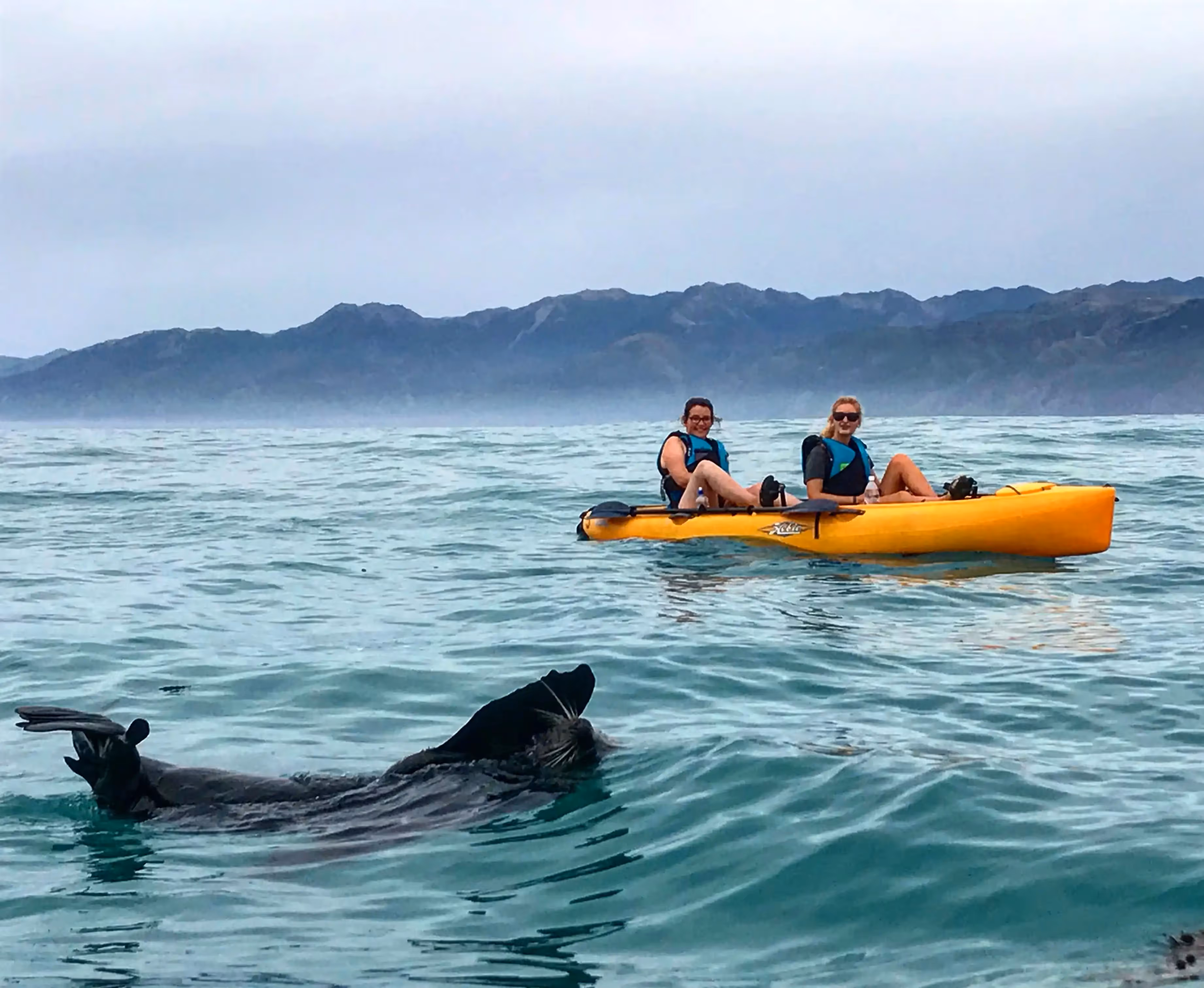 Kayaks on the water