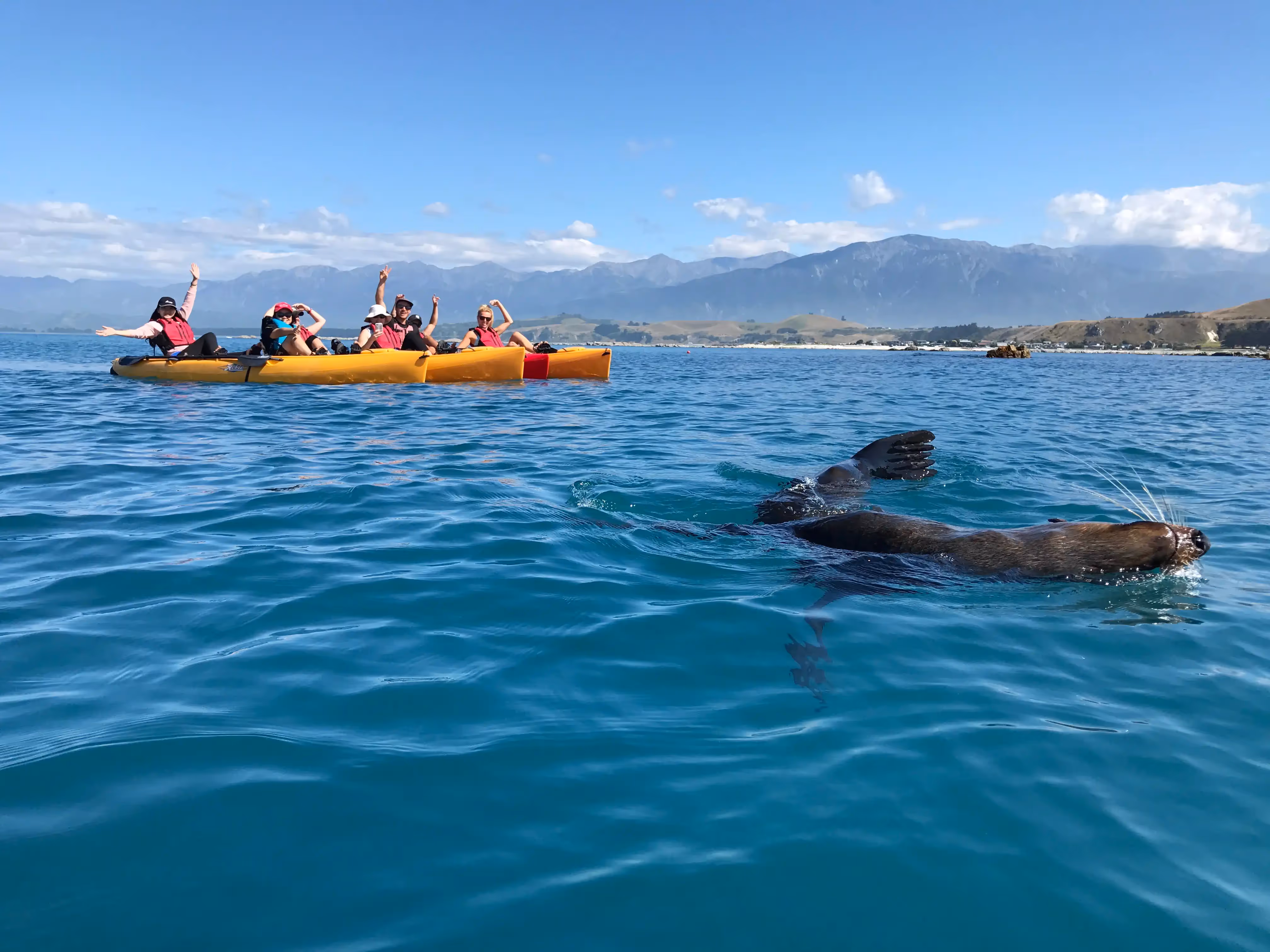 Kayaks on the water