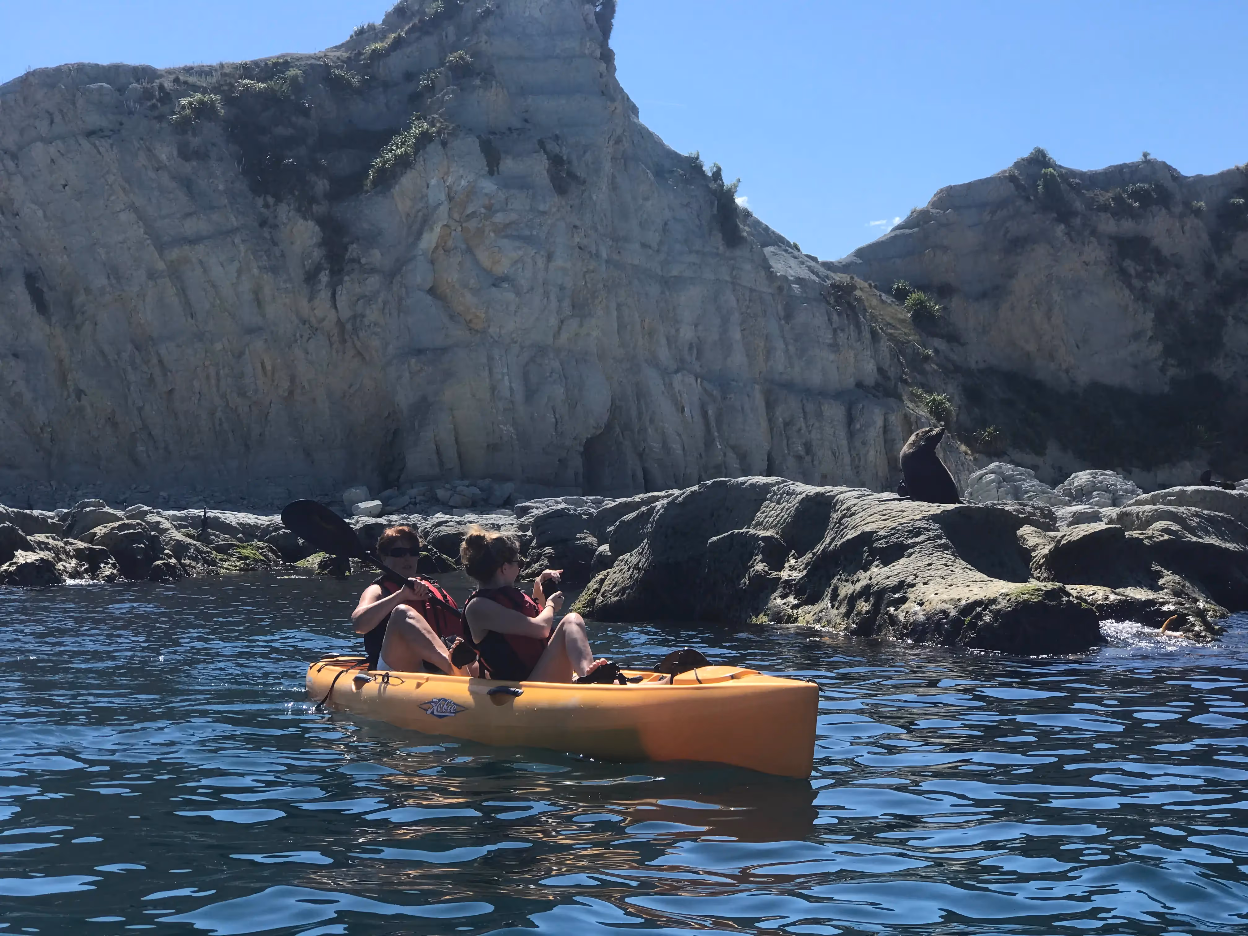 Kayaks on the water