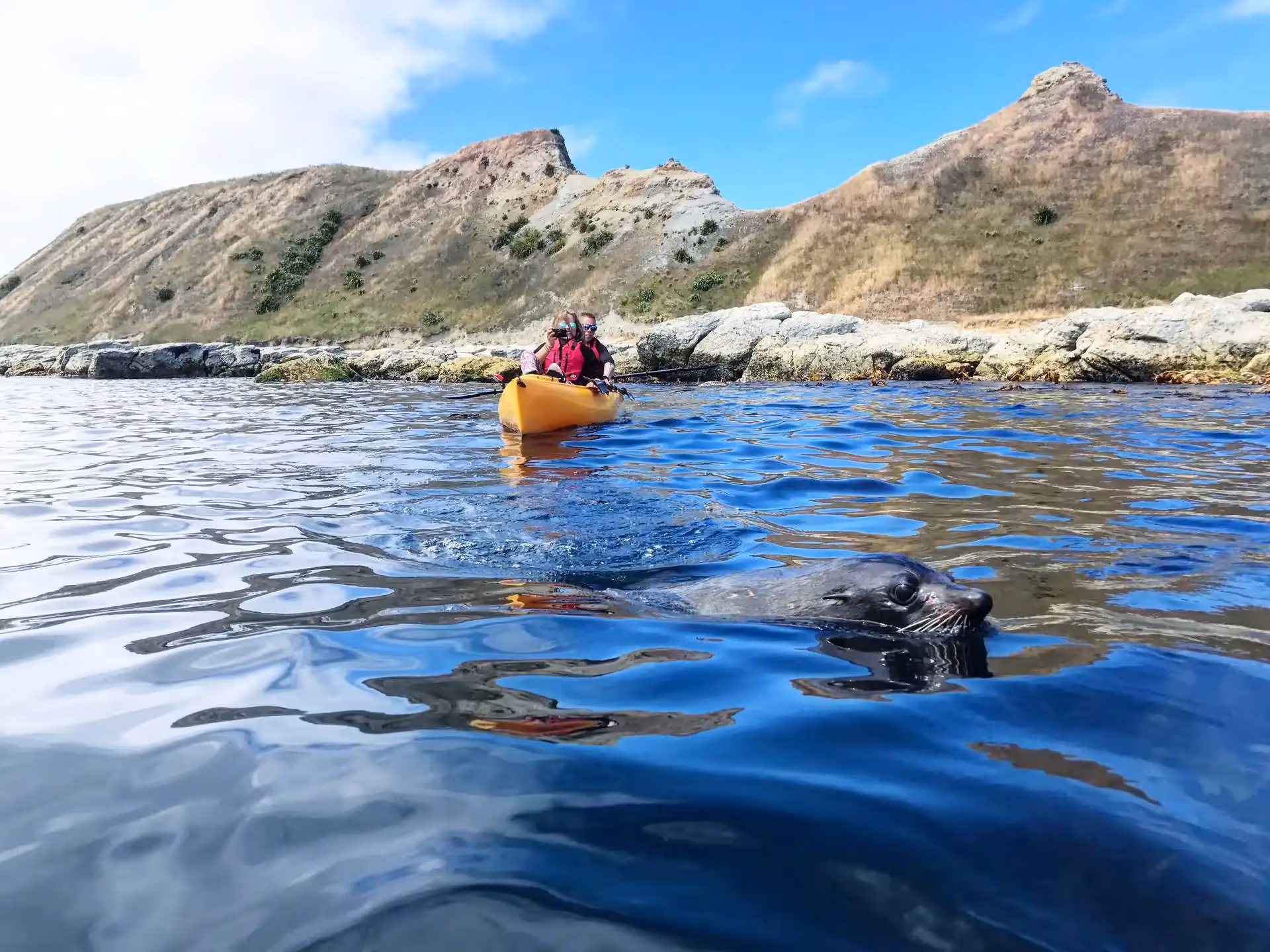 Kayaks on the water