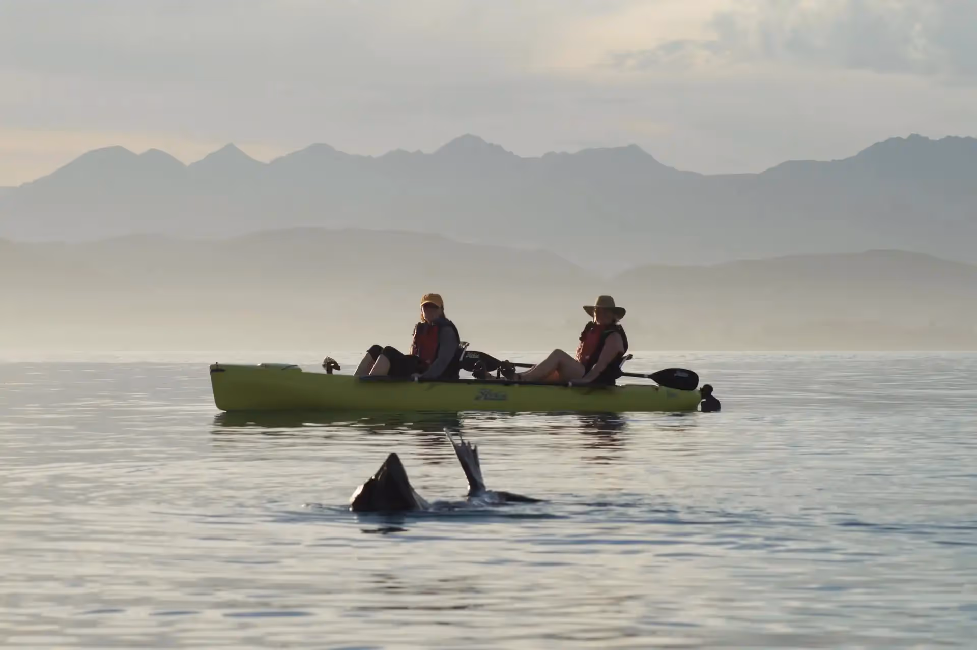 Kayaks on the water