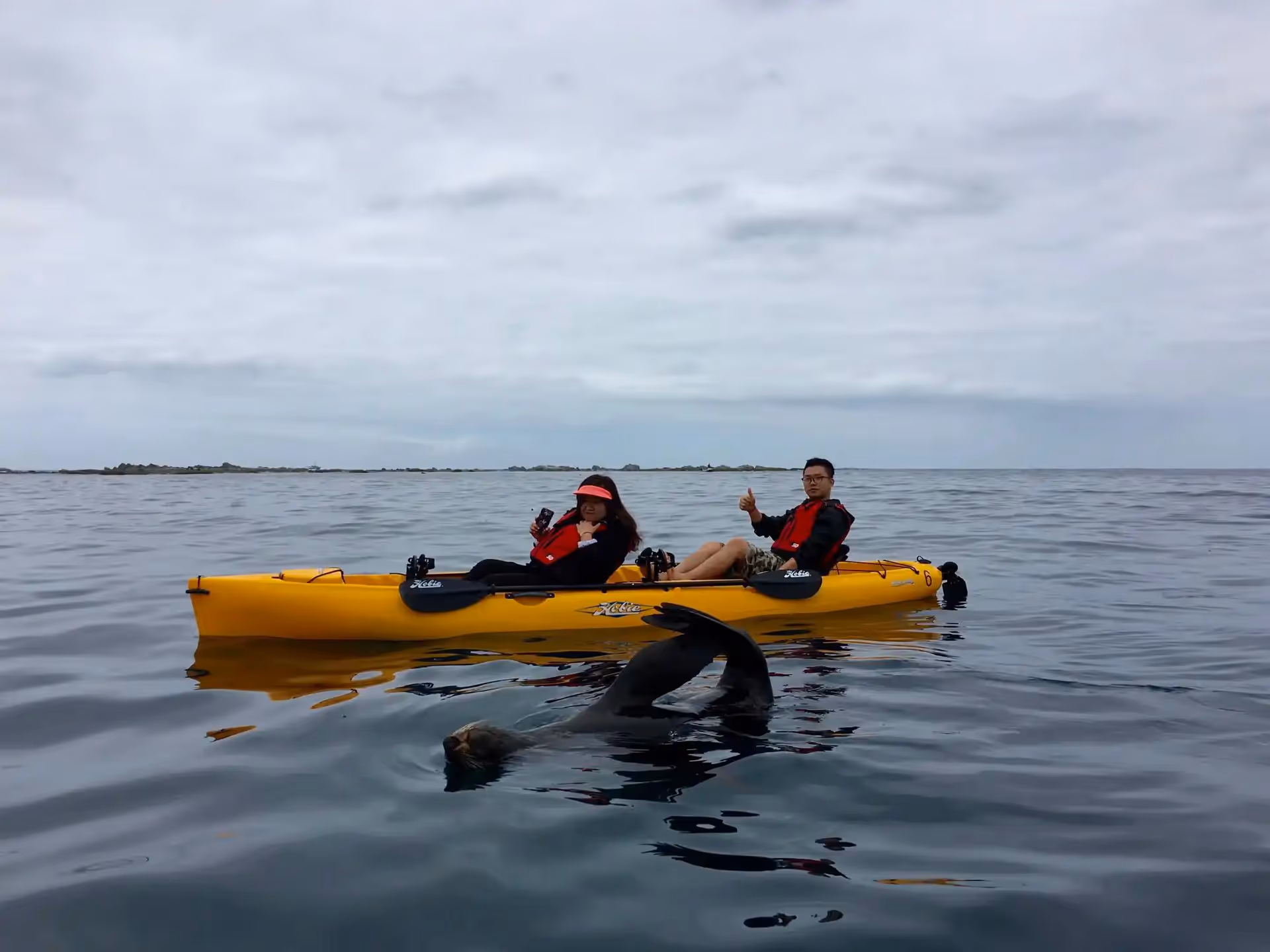 Kayaks on the water