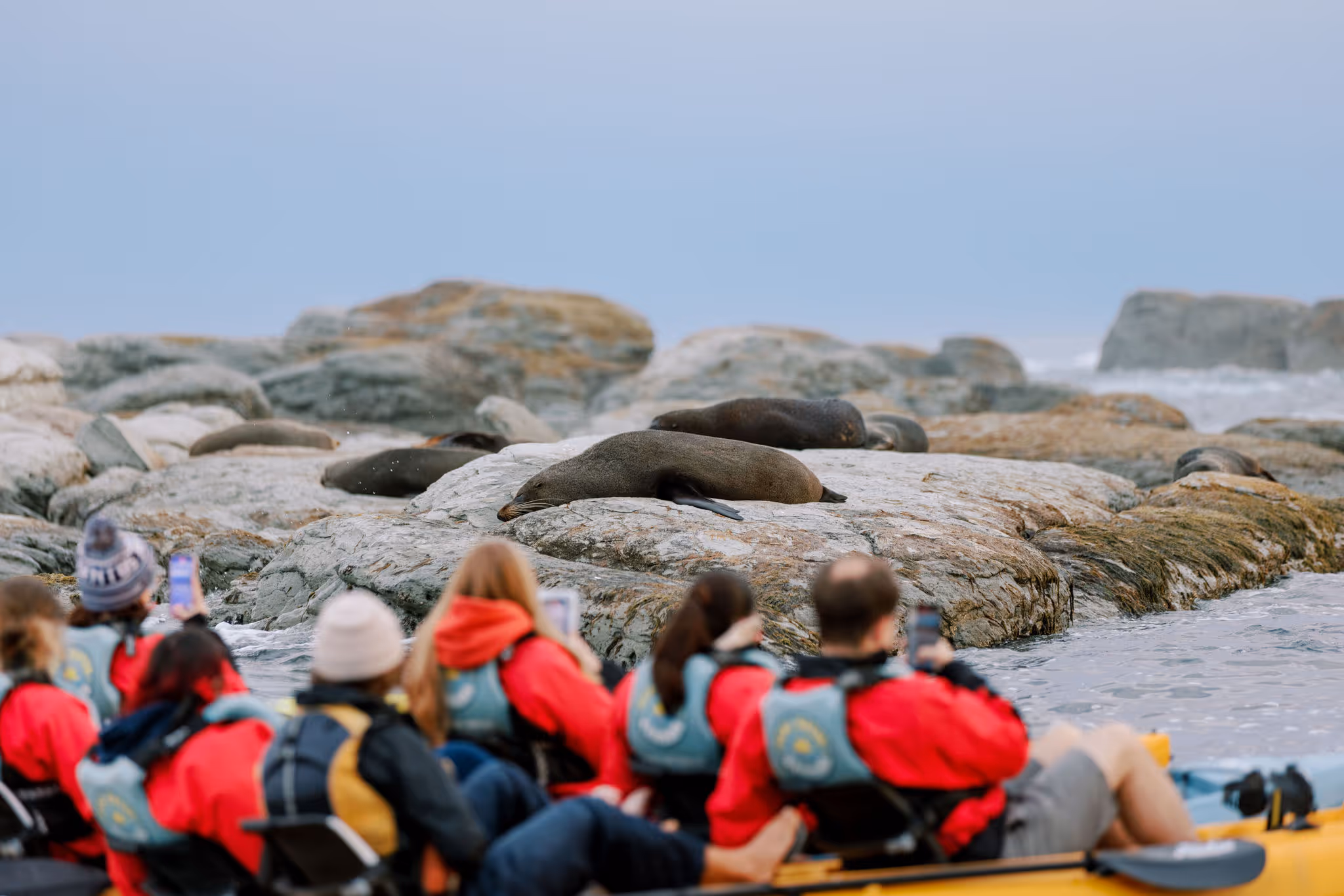 Kayakers on the water
