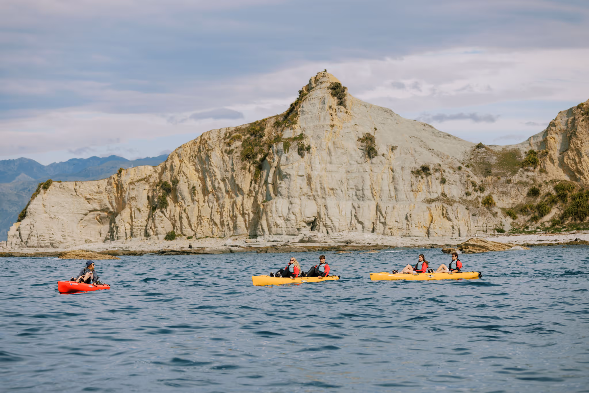 Kayak, peninsular, seal