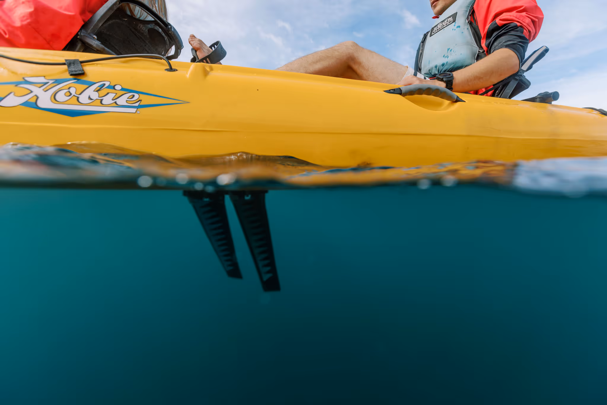 Seal, Kayak, Kaikoura, pedal kayak