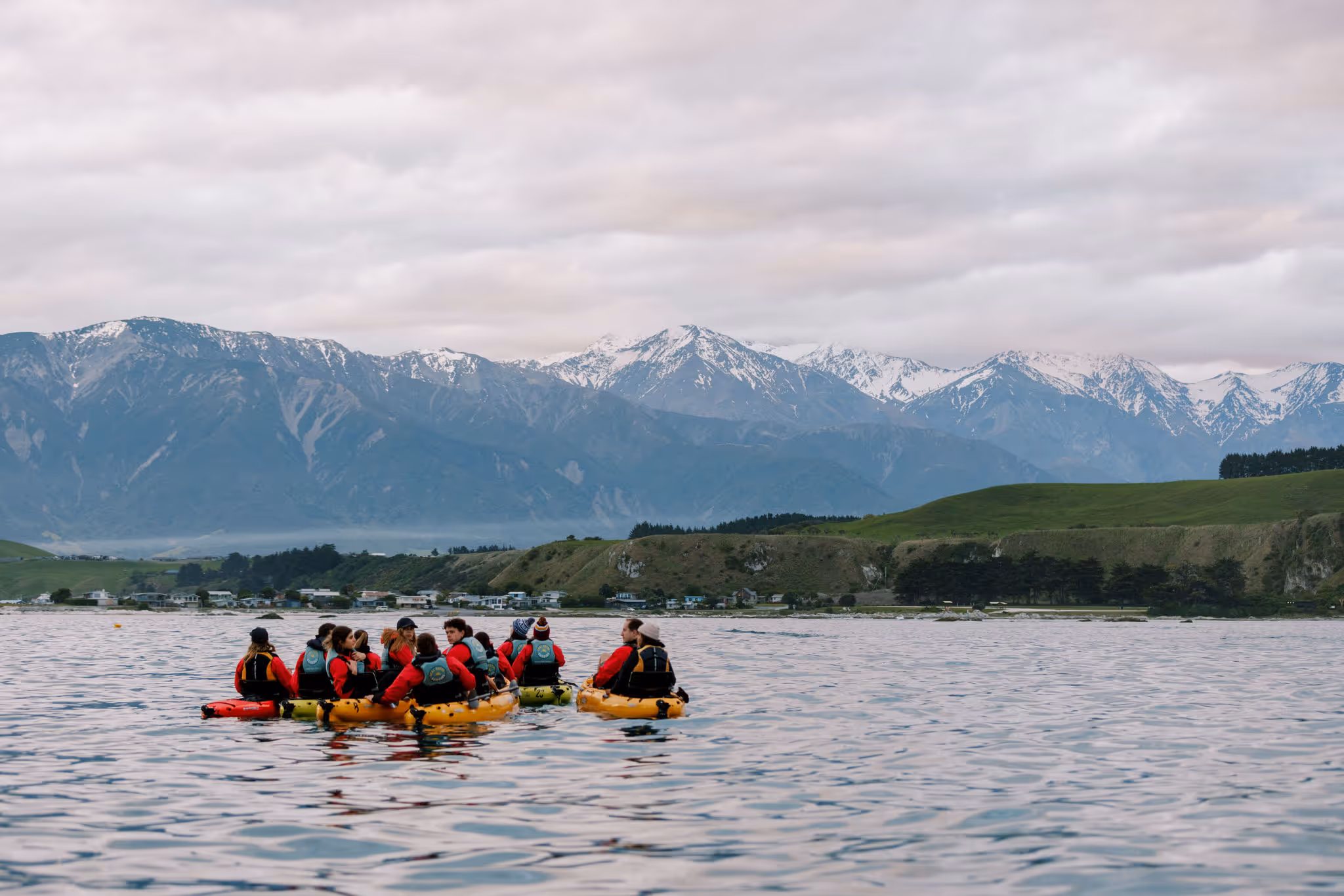 Seal kayak Kaikōura