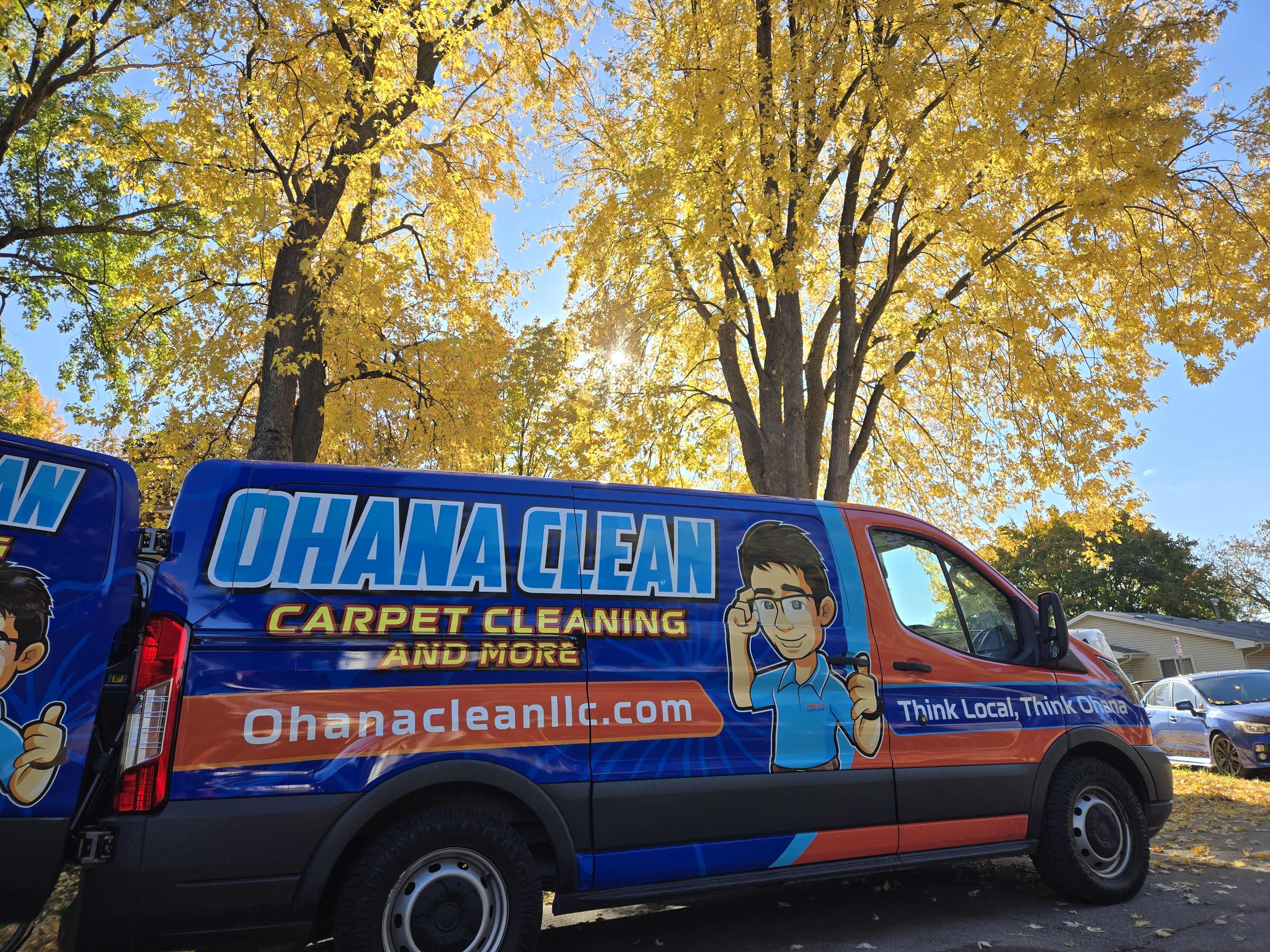 Tony Cleaning Upholstery