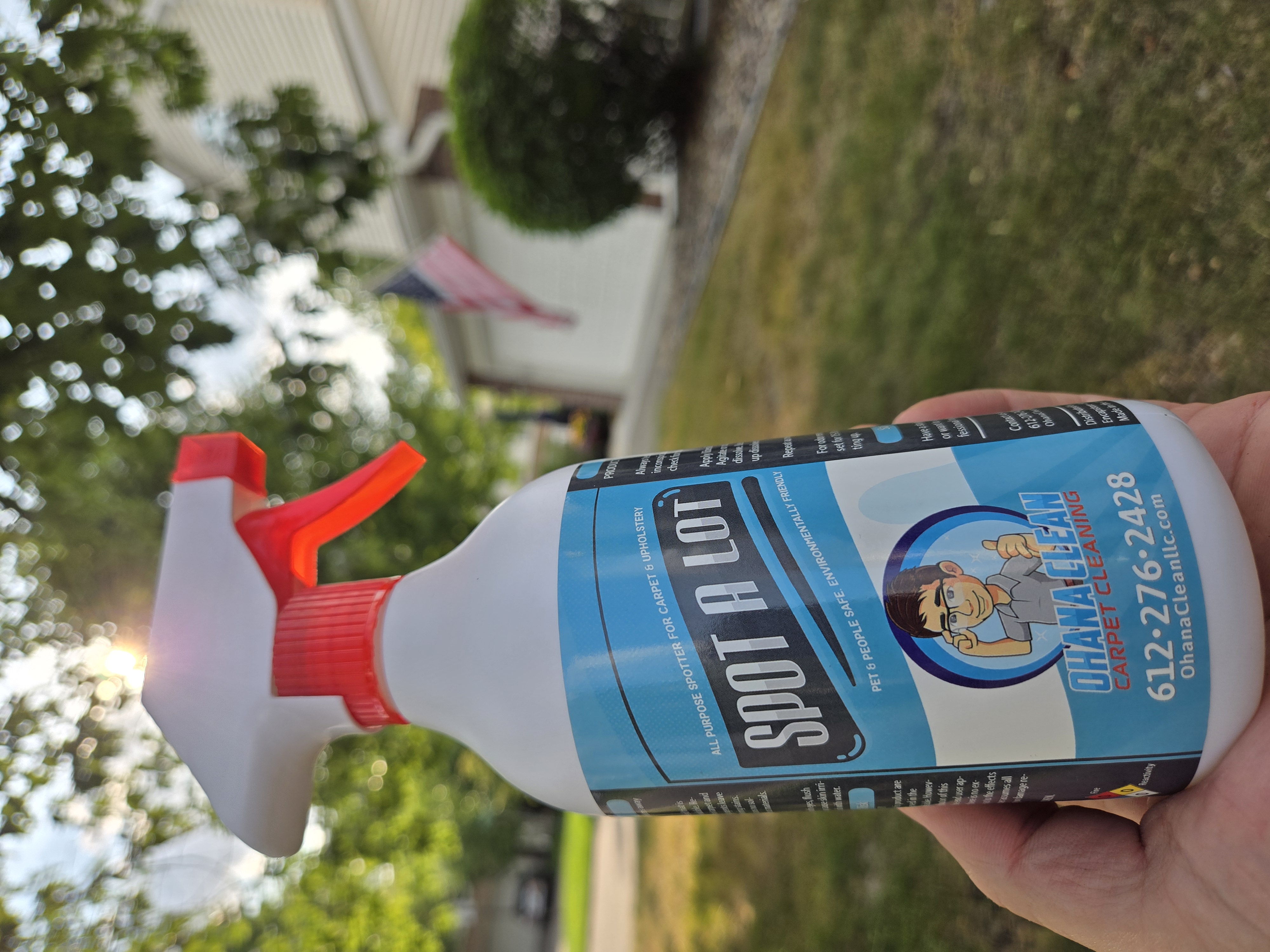 Tony Cleaning Upholstery