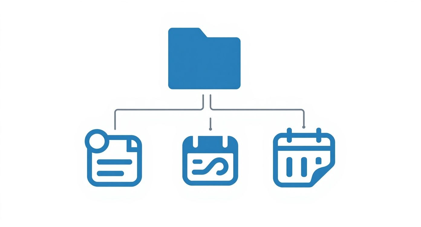 Infographic about hybrid resume format