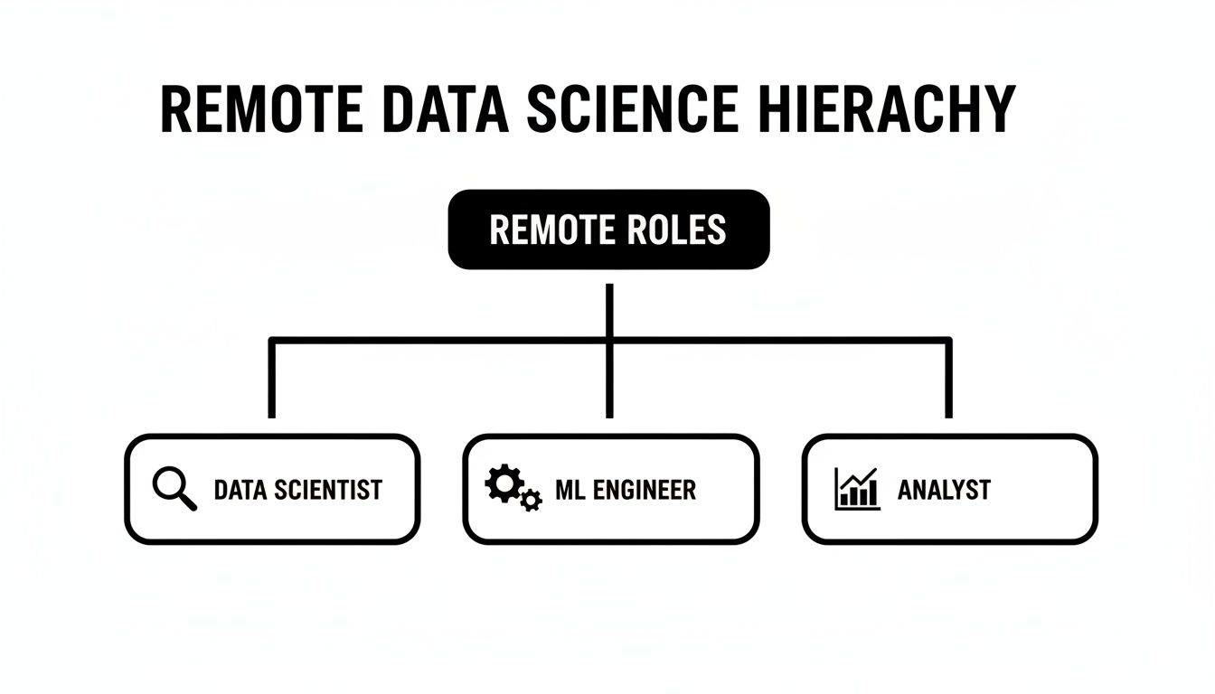 An organizational chart illustrating the remote data science hierarchy, showing data scientist, ML engineer, and analyst roles.