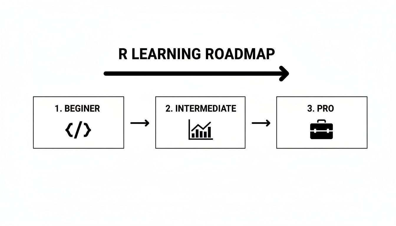 R learning roadmap illustrates a three-stage progression: beginner, intermediate, and professional levels.