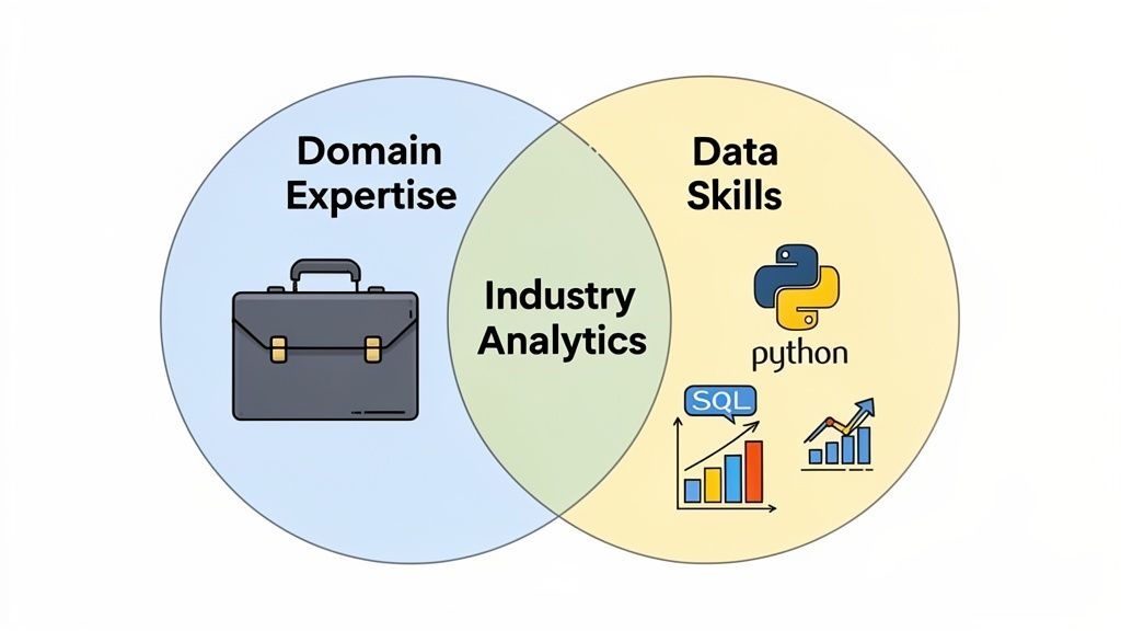 Venn diagram showing Industry Analytics at the intersection of Domain Expertise and Data Skills.