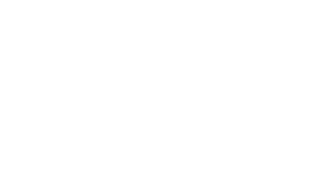 Wandering Bear