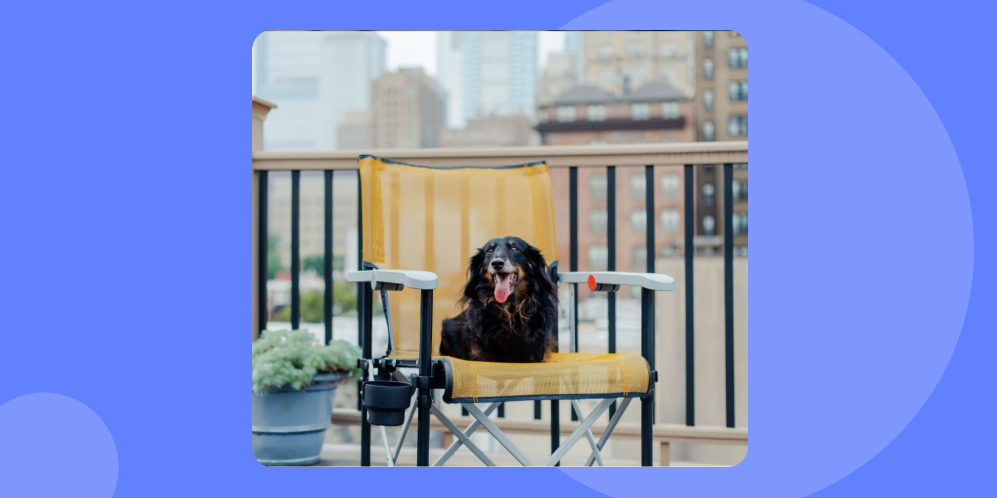 True Places Emmett Chair