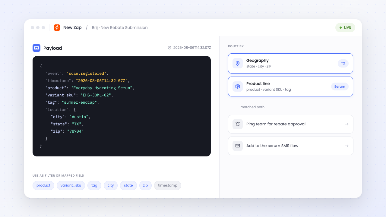 Send detailed Brij event data with each Zap for fine-tuned action routing. 