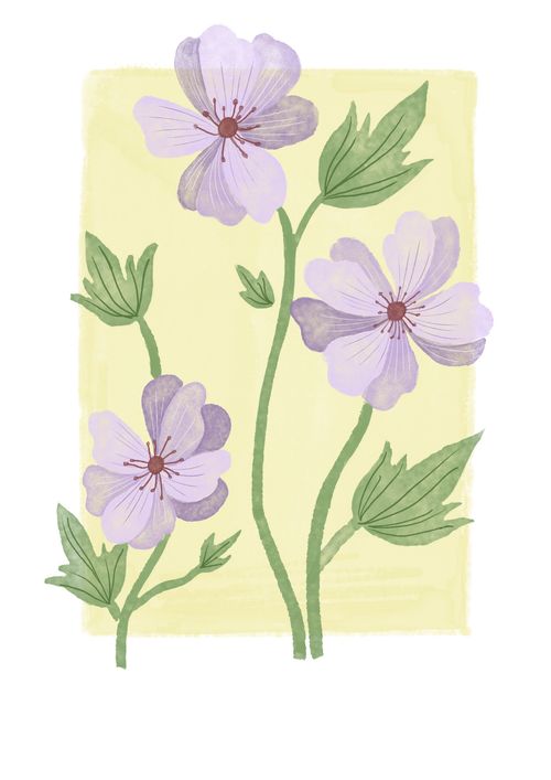 Приклад роботи викладача школи Хамелеон Анжели Куниці